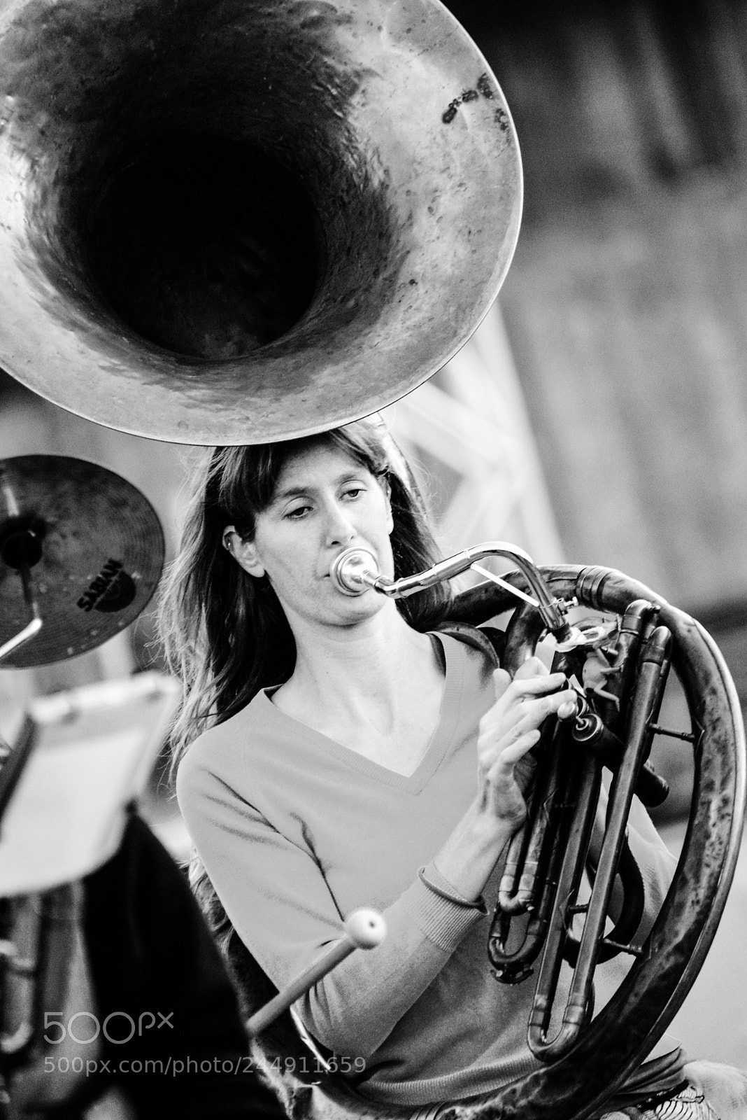 Nikon D600 sample photo. Tuba lover photography