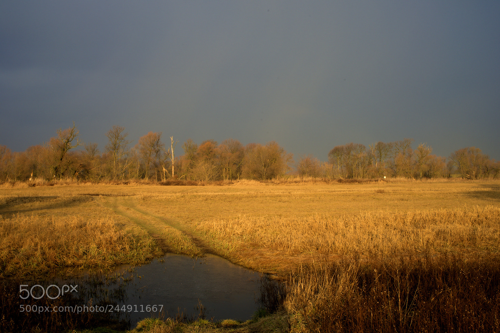 Sony a7 sample photo. Silent wild place photography