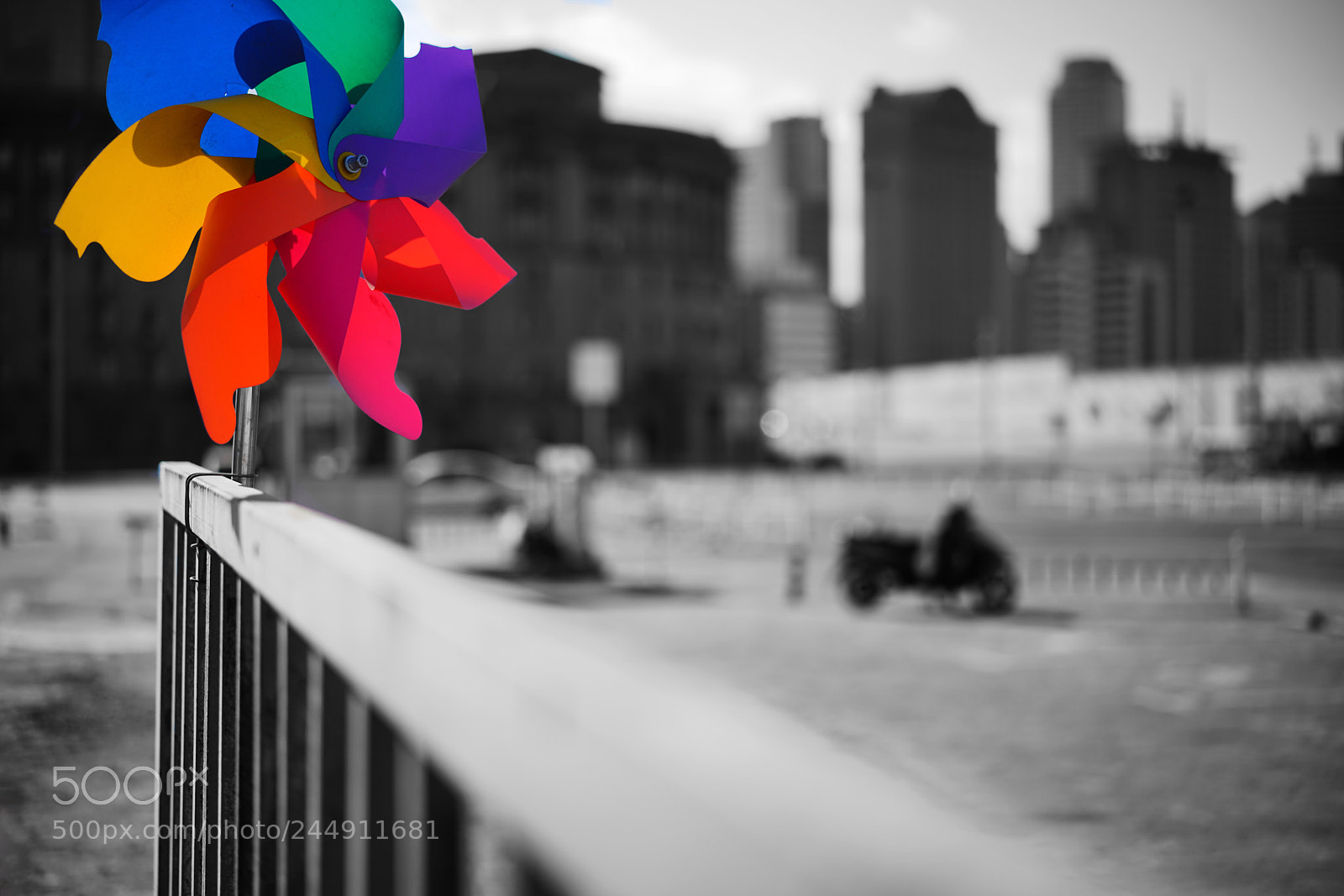 Sony a7R II sample photo. Untitled photography