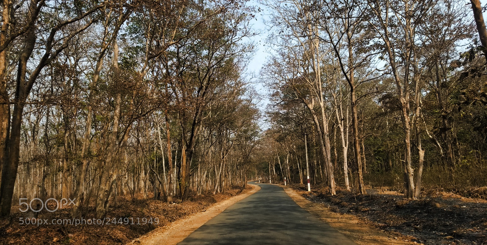 Motorola Moto G (5) Plus sample photo. The journey photography