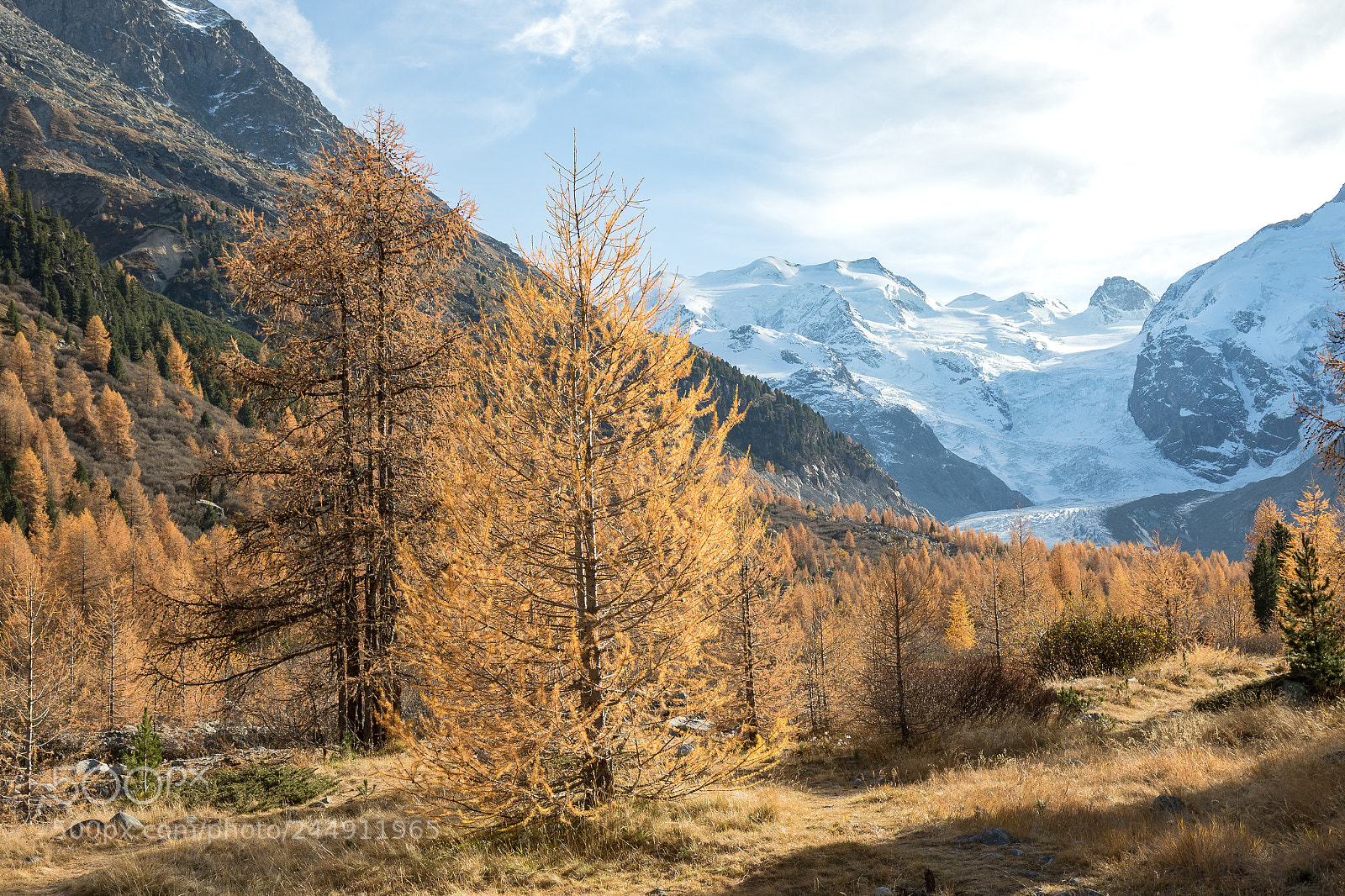 Canon EOS 7D Mark II sample photo. Val morteratsch, switzerland photography