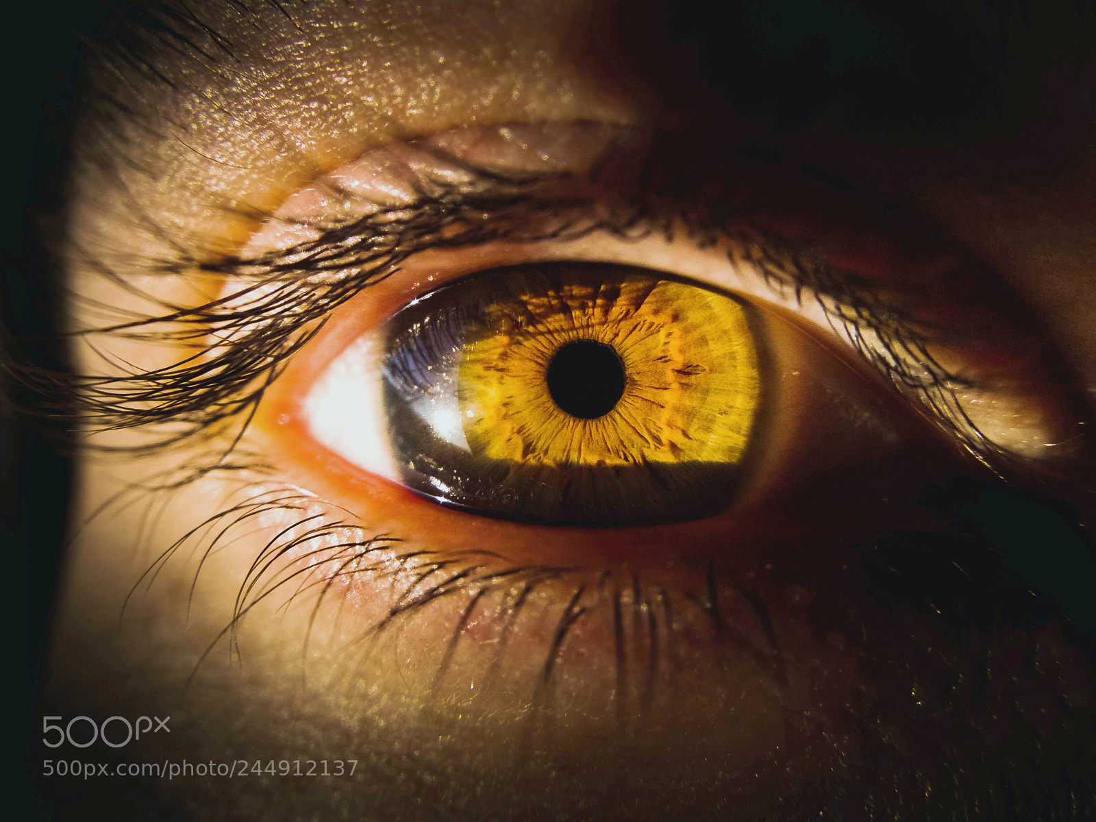 Fujifilm X10 sample photo. Your eyes photography