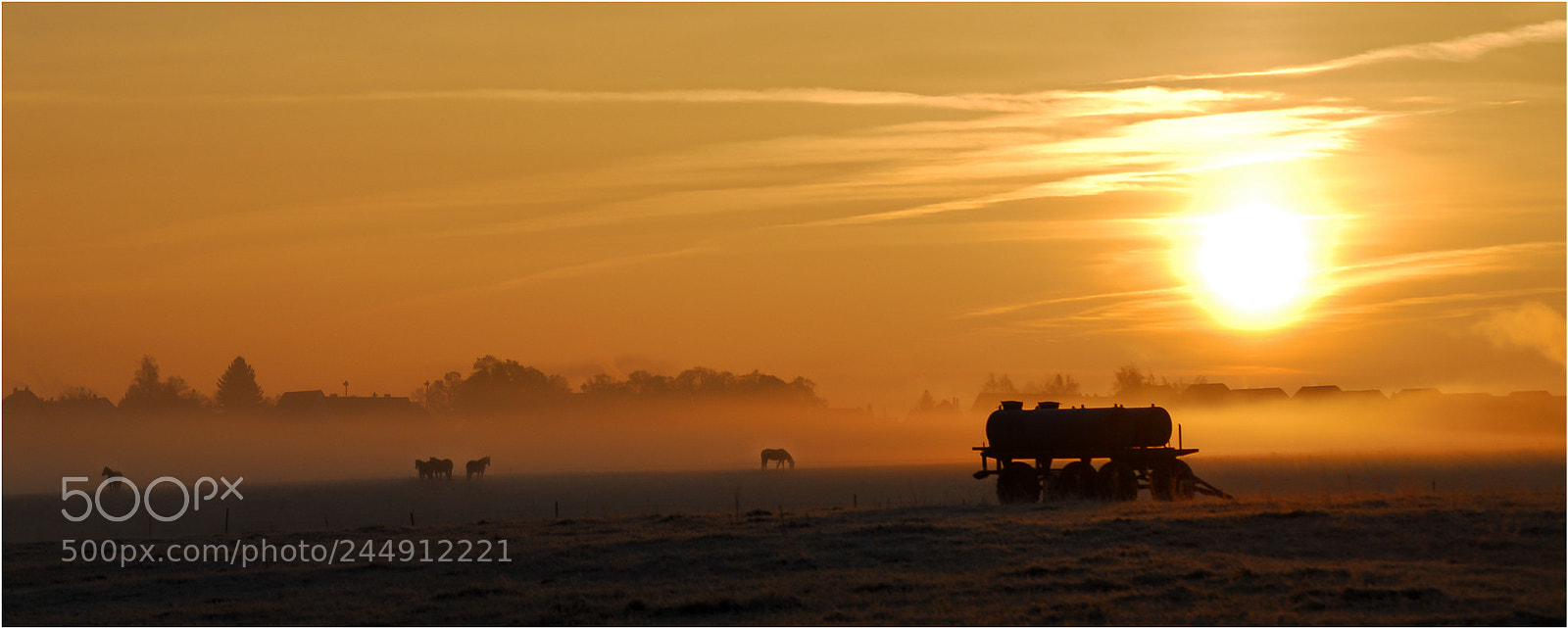 Nikon D200 sample photo. Morning photography