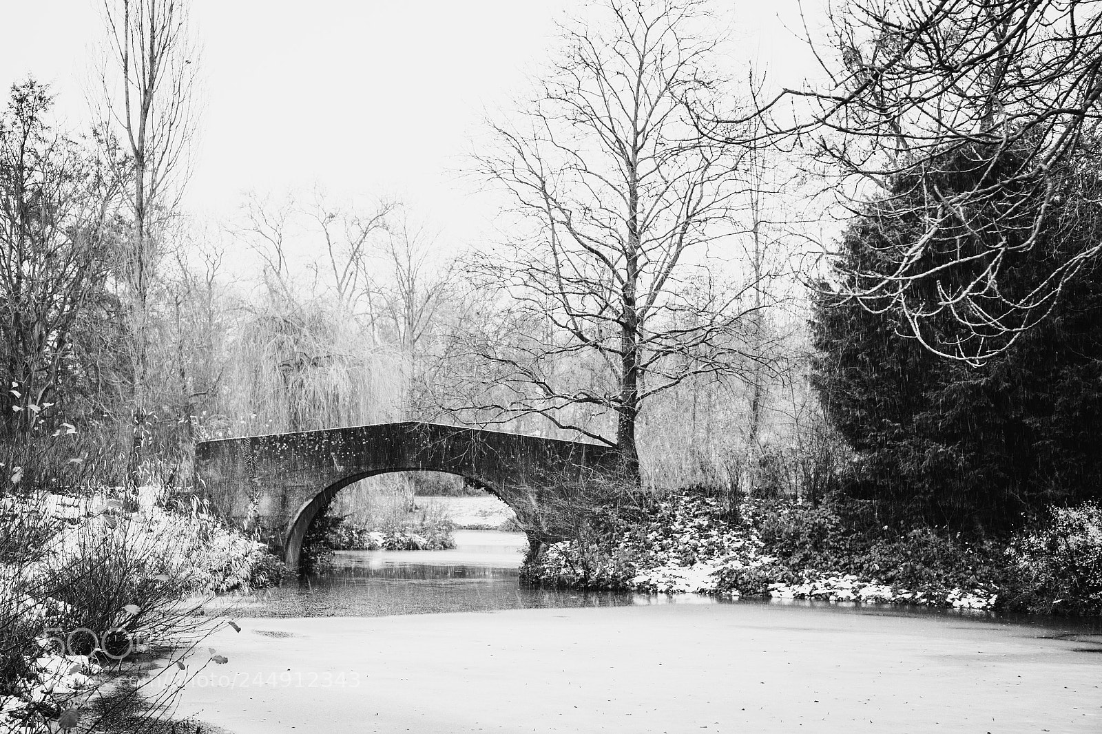 Canon EOS-1Ds Mark II sample photo. Winter is coming back photography