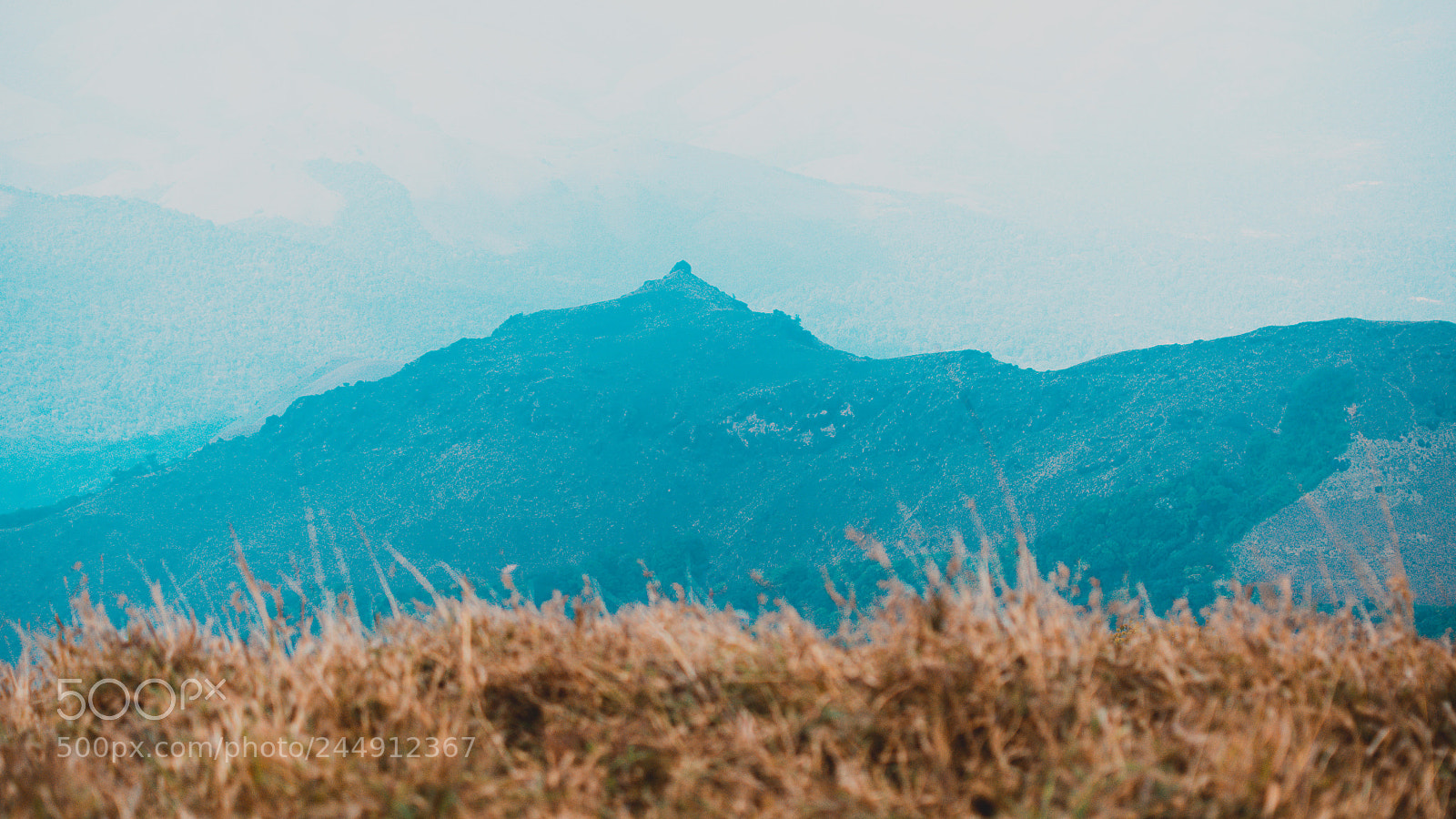 Nikon D3400 sample photo. Coorg - scotland of photography