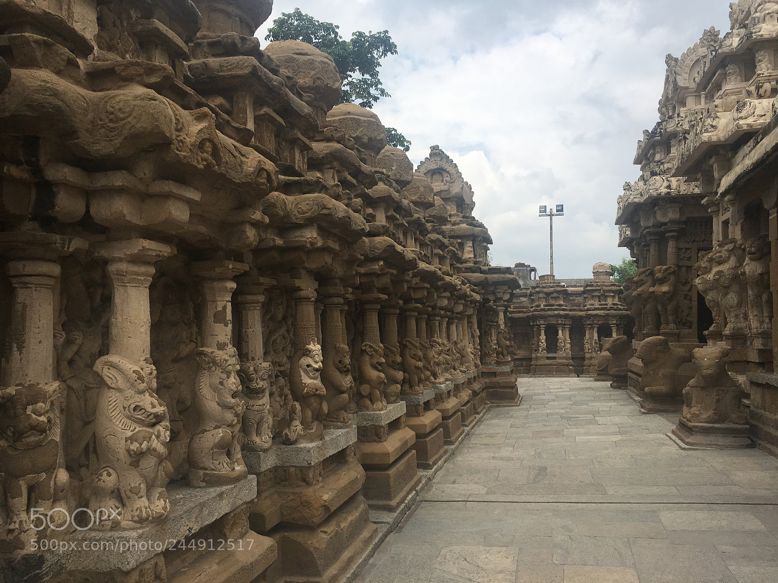 Apple iPhone 6s sample photo. Gallery photography