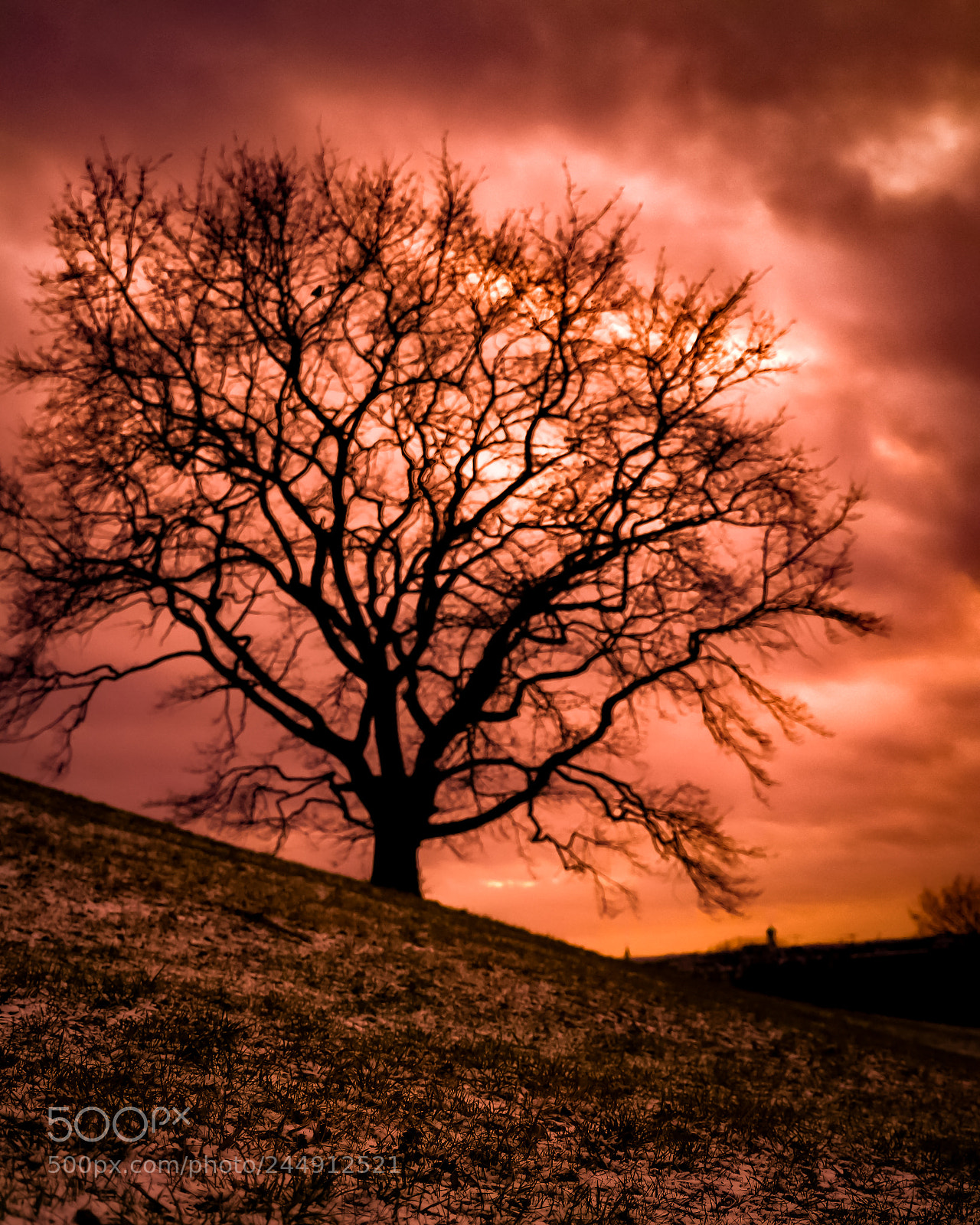 Canon EOS 6D Mark II sample photo. Wintersky photography