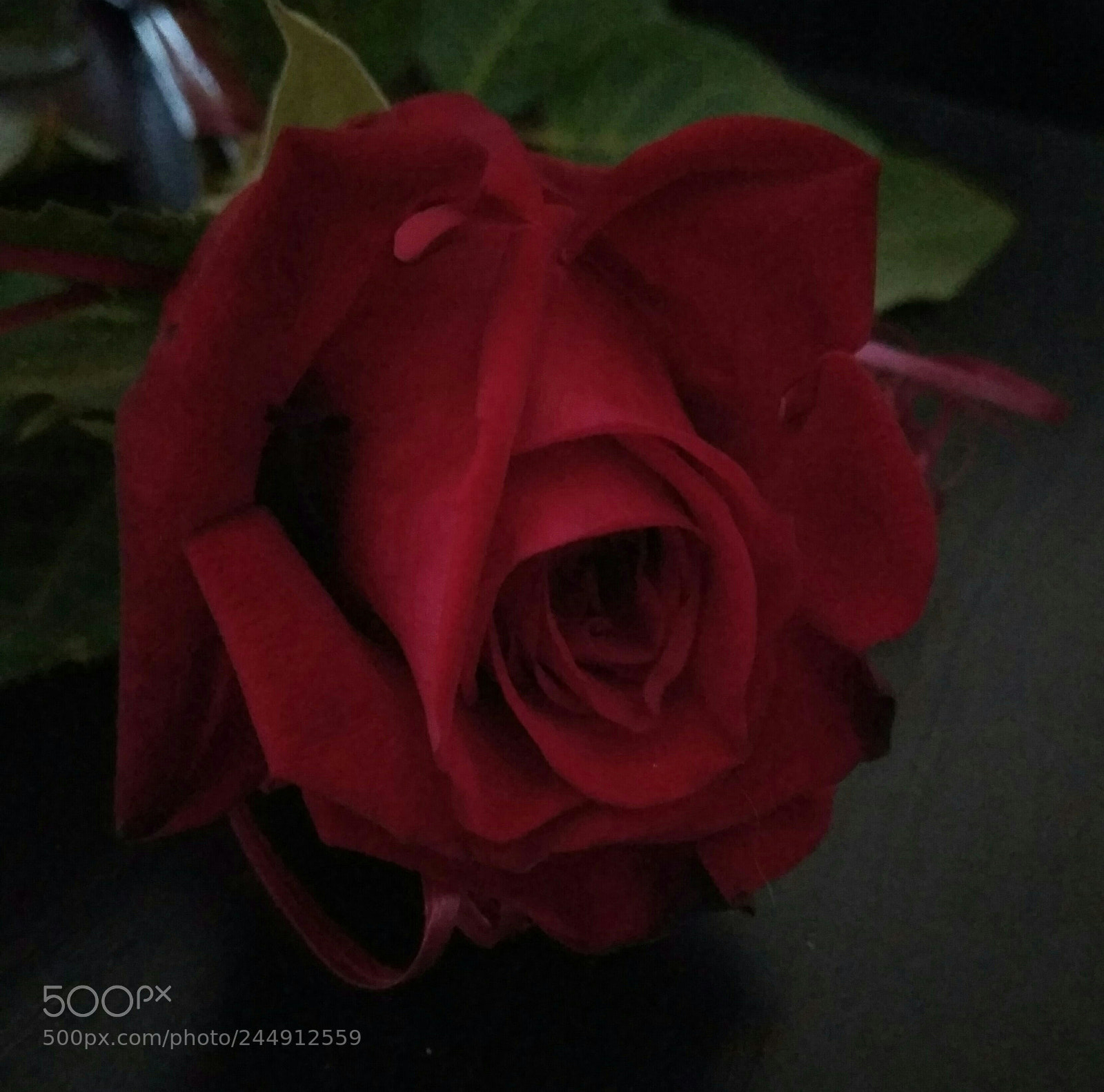 Xiaomi Redmi Note3 sample photo. Present photography
