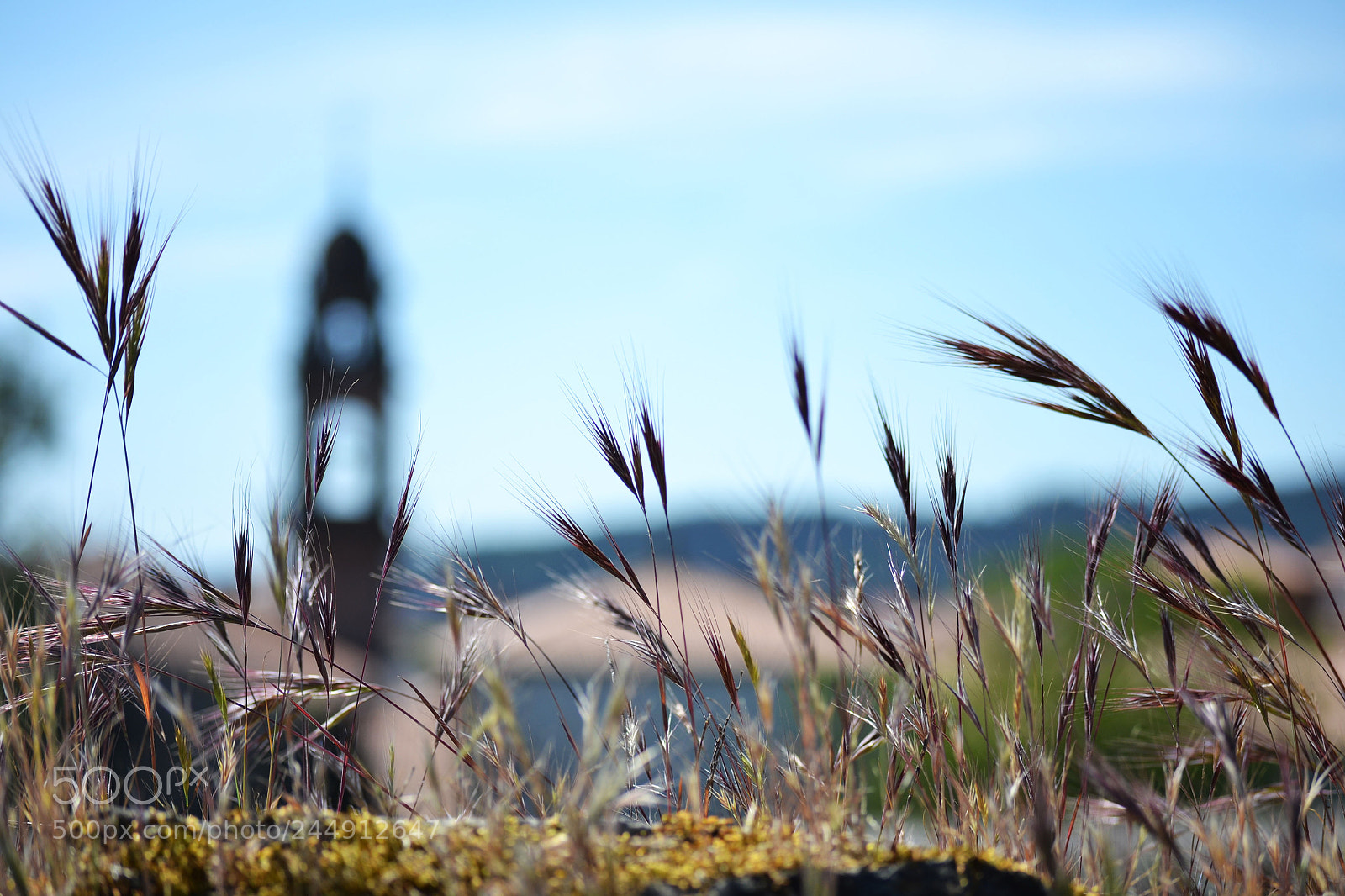 Nikon D3100 sample photo. Untitled photography
