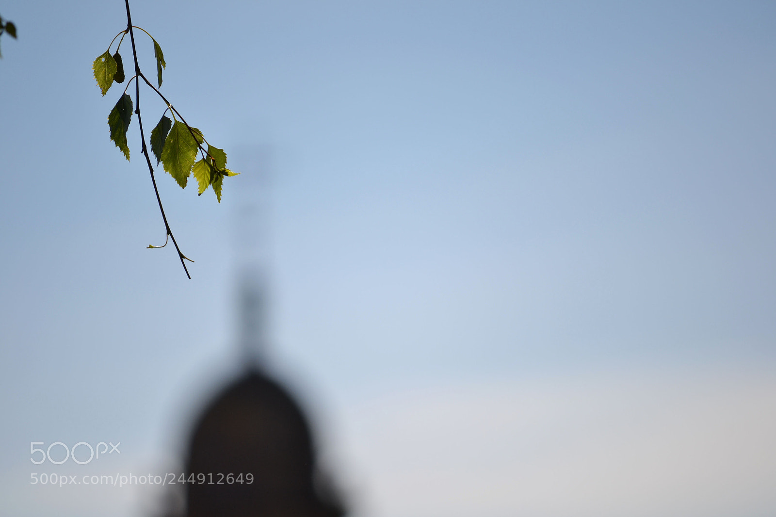 Nikon D3100 sample photo. Untitled photography