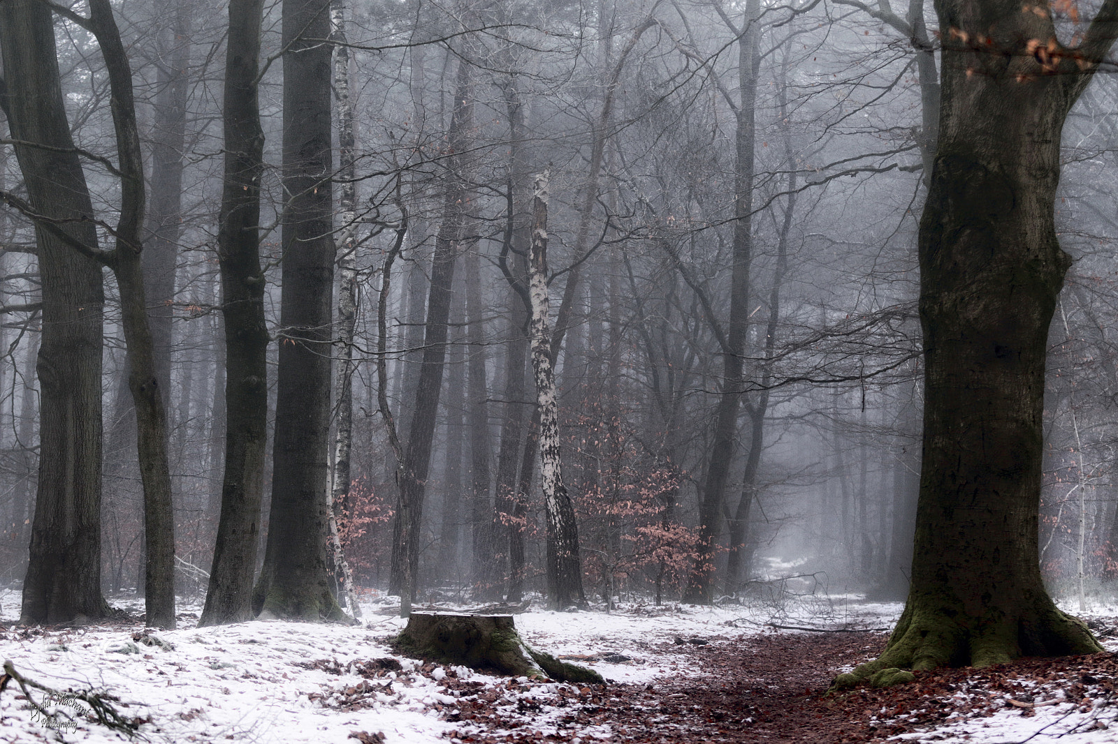 Canon EOS 7D Mark II sample photo. The beauty of nature photography