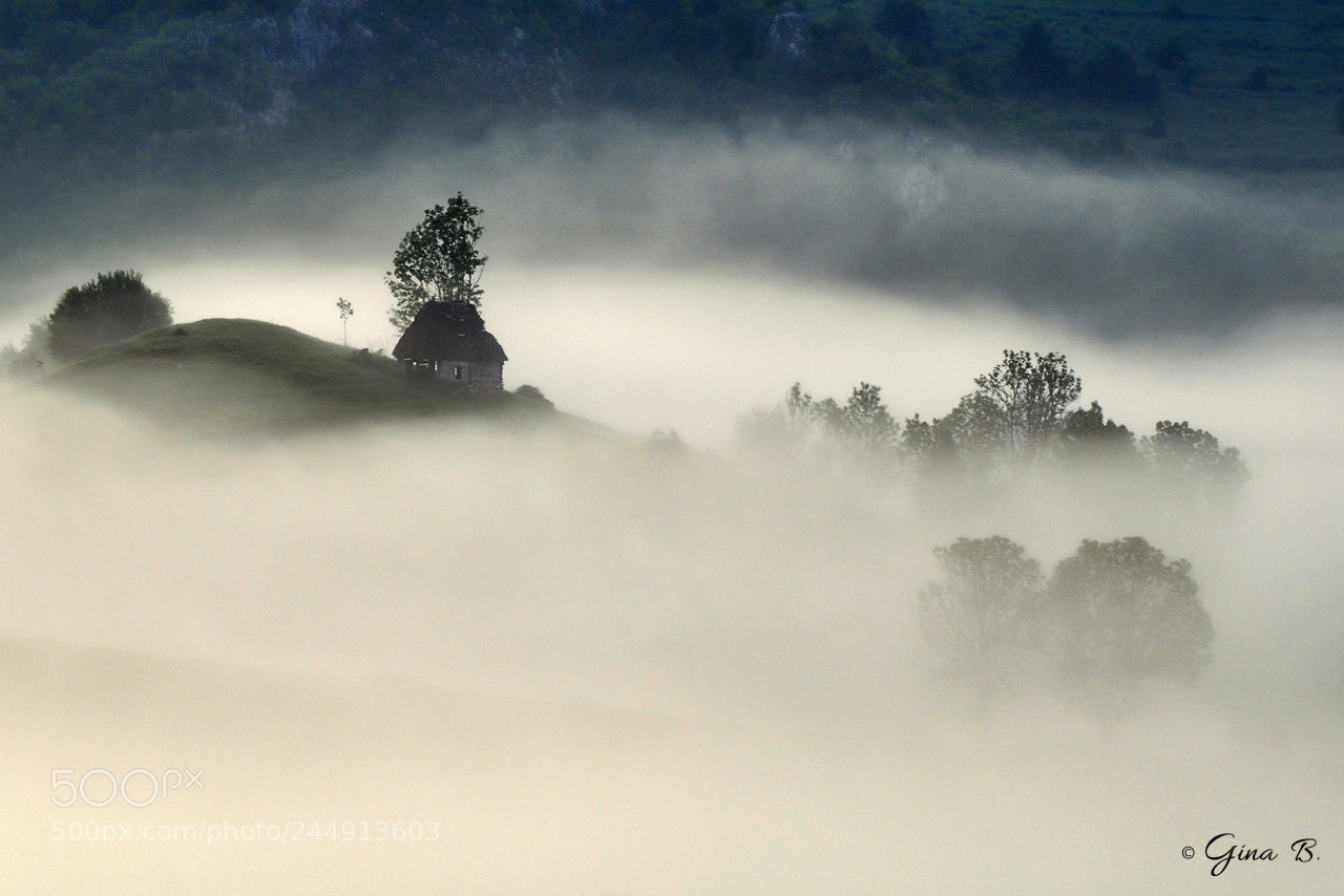 Nikon D300 sample photo. A dream world photography