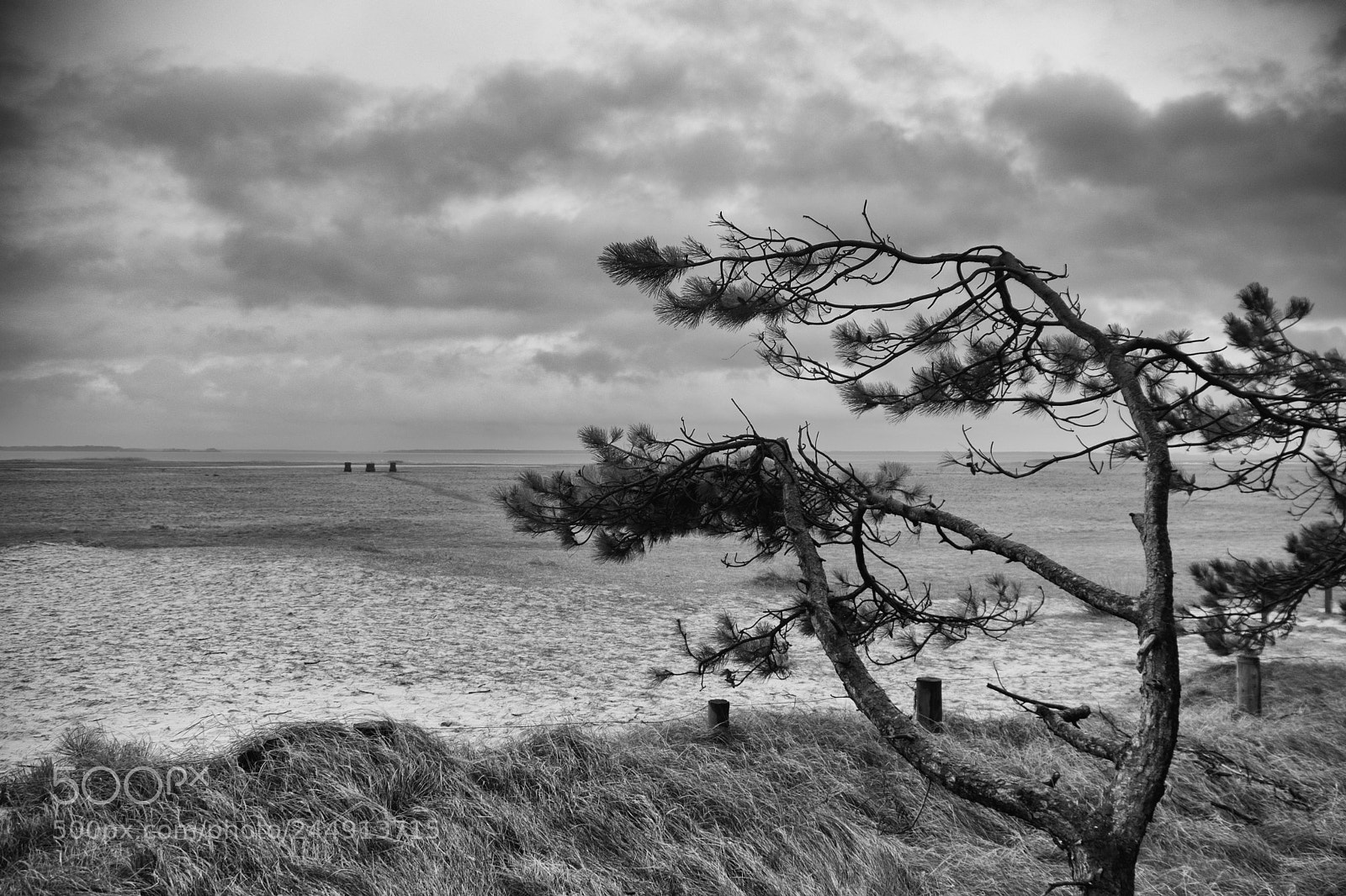 Fujifilm X-T2 sample photo. Look into the distance photography
