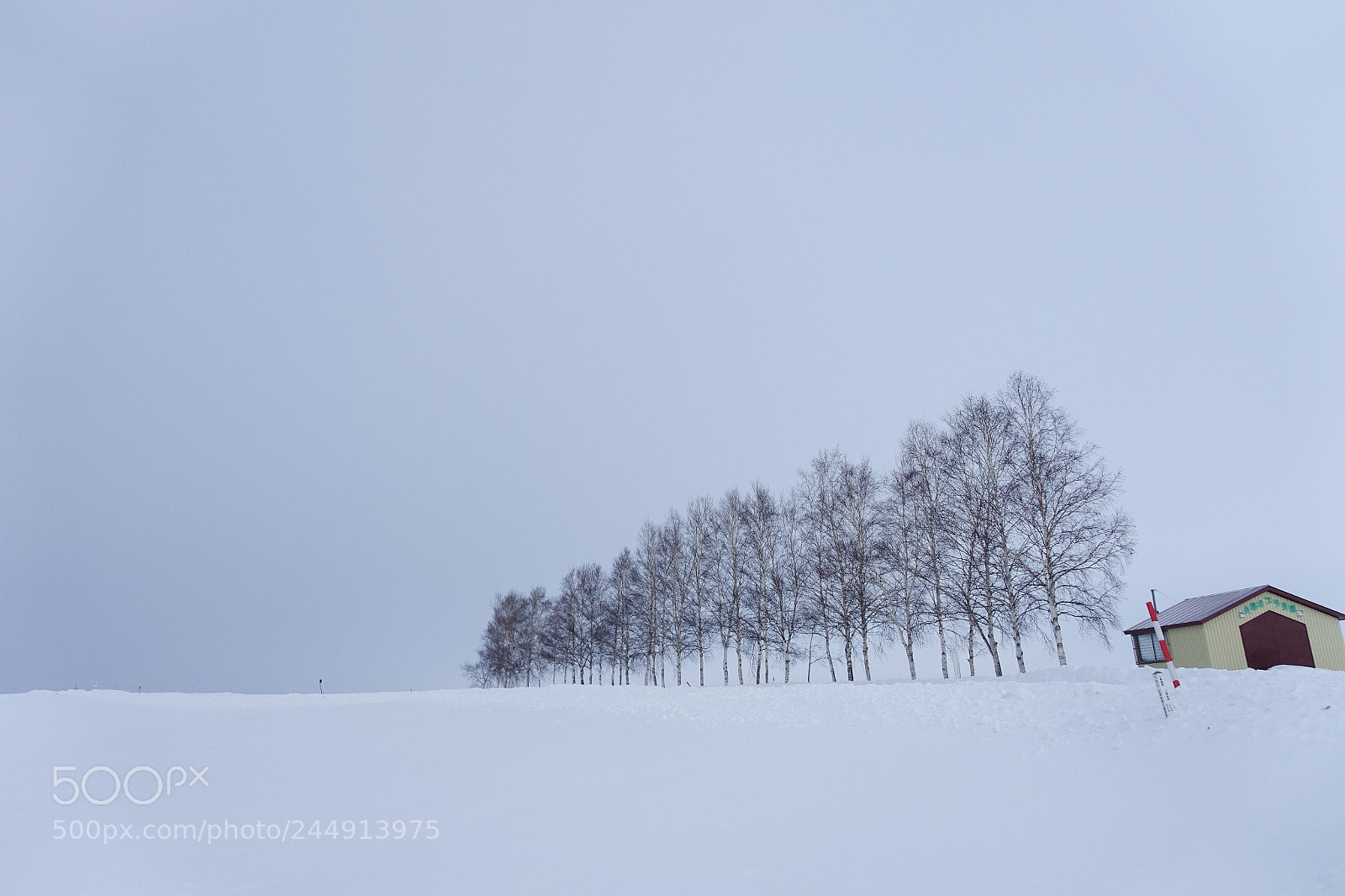Sony Cyber-shot DSC-RX100 III sample photo. Walking in the snow photography