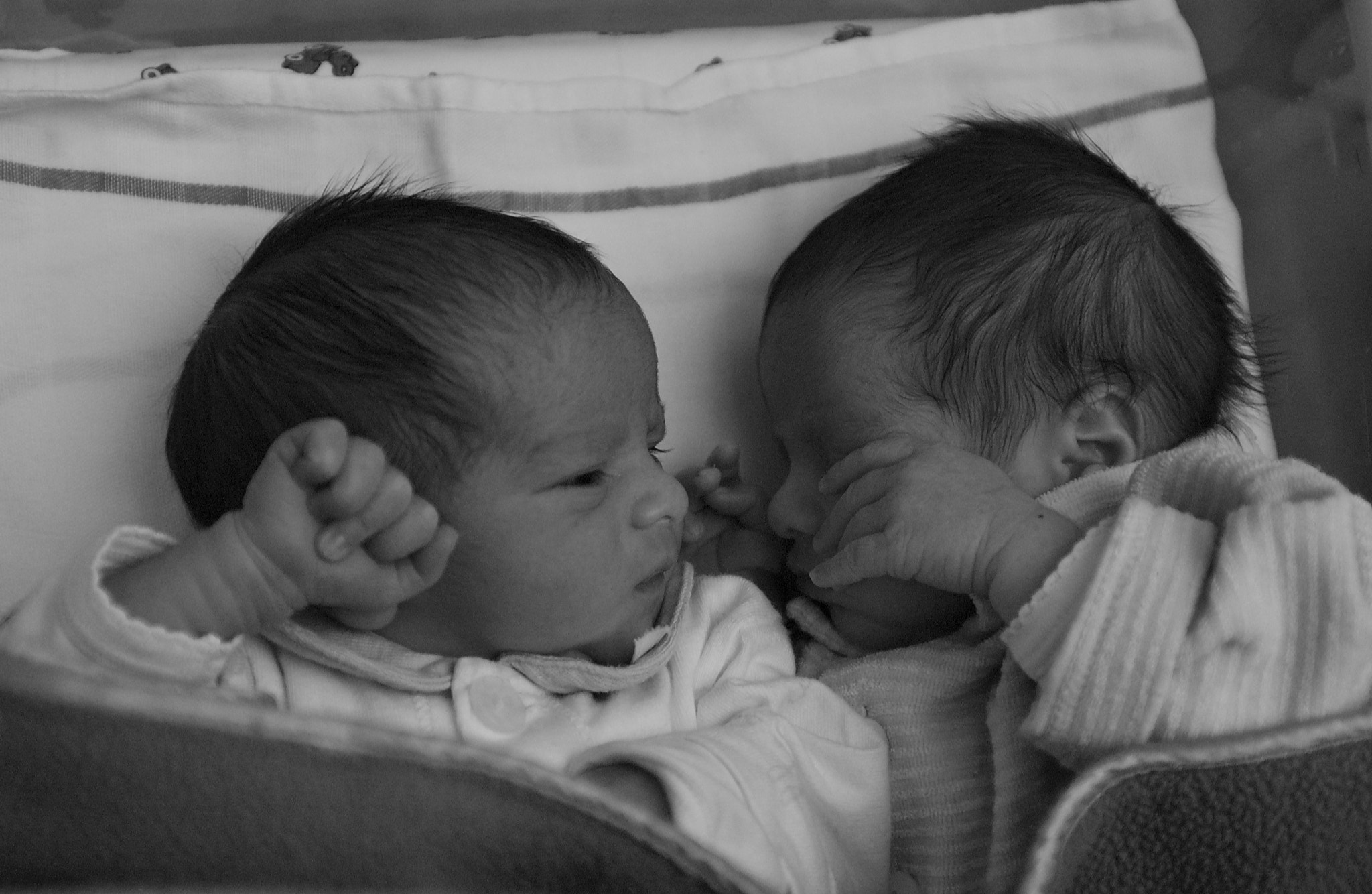 Nikon D1X sample photo. Newborn identical twins photography