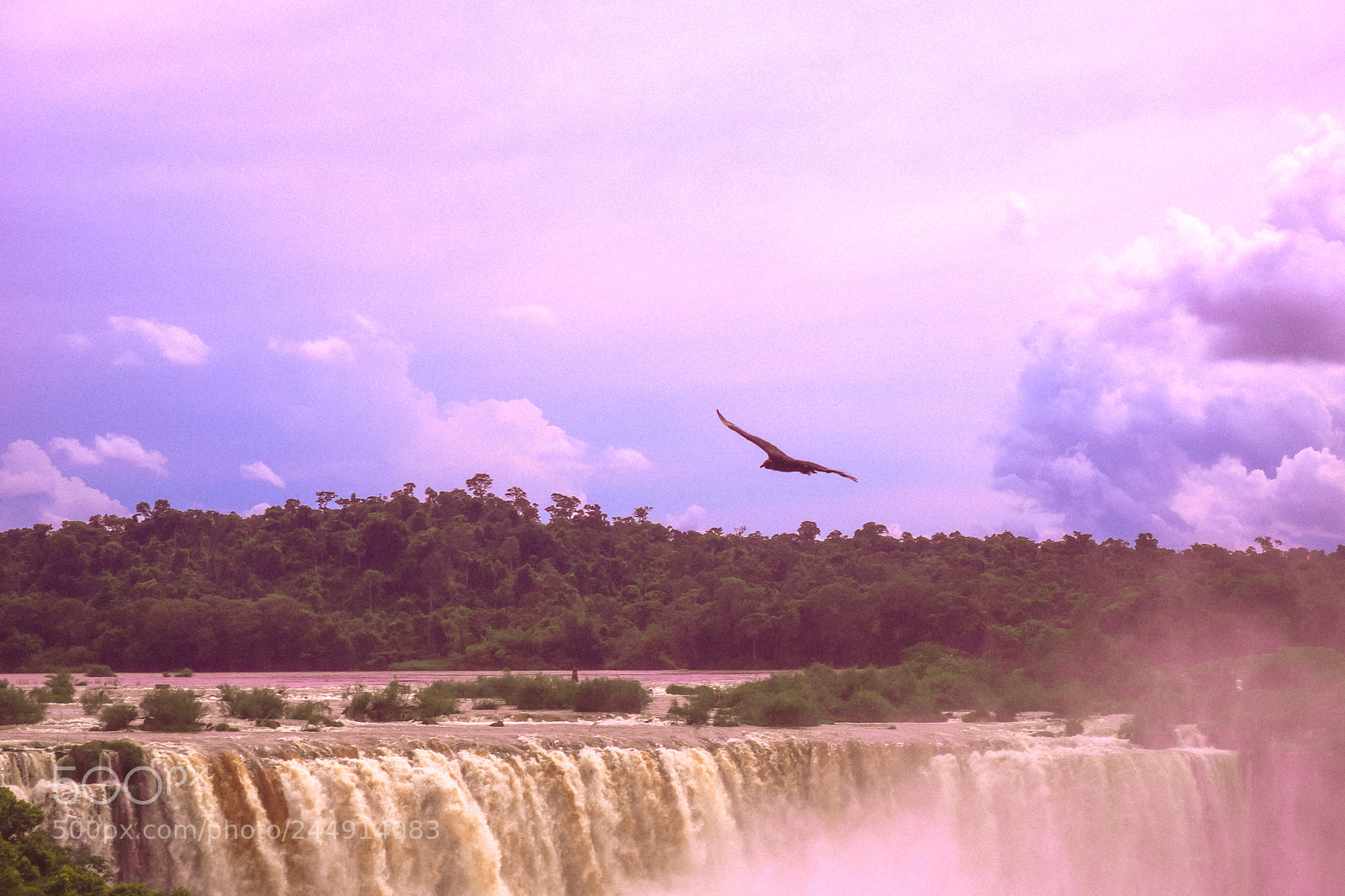 Canon EOS 750D (EOS Rebel T6i / EOS Kiss X8i) sample photo. Eagle at iguazu falls photography
