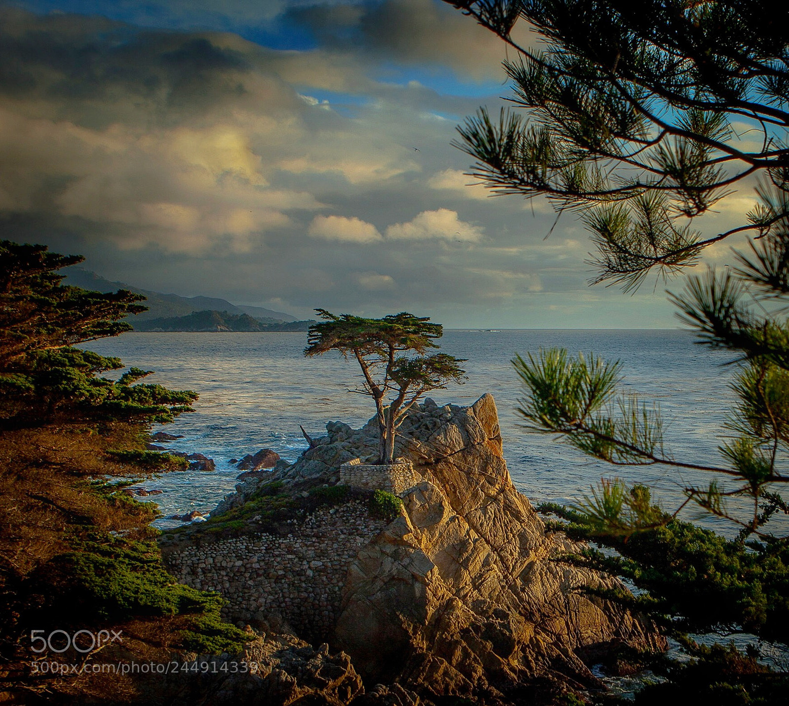 Canon EOS 20D sample photo. Sunrise at the cypress photography