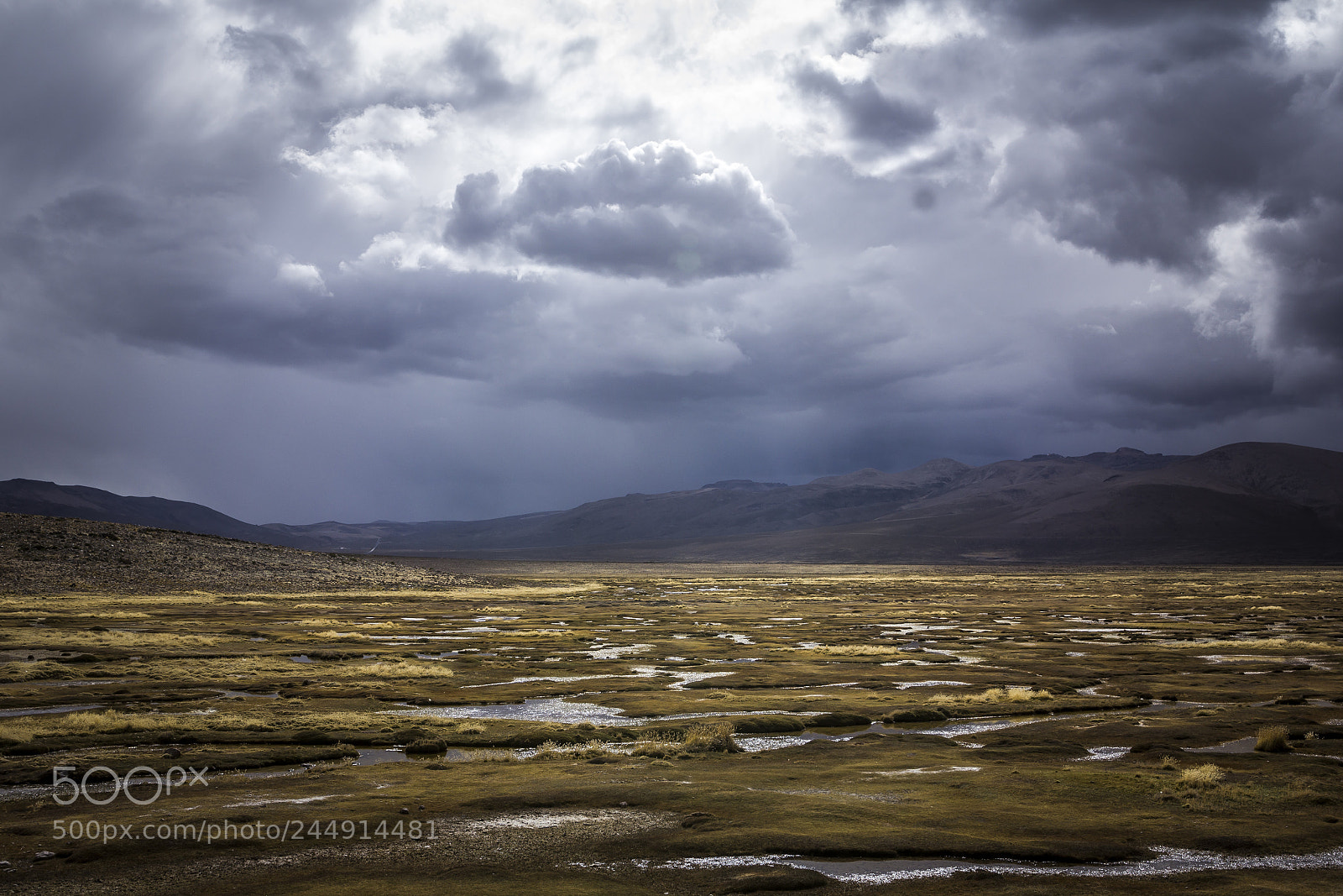 Canon EOS 60D sample photo. The steppe photography