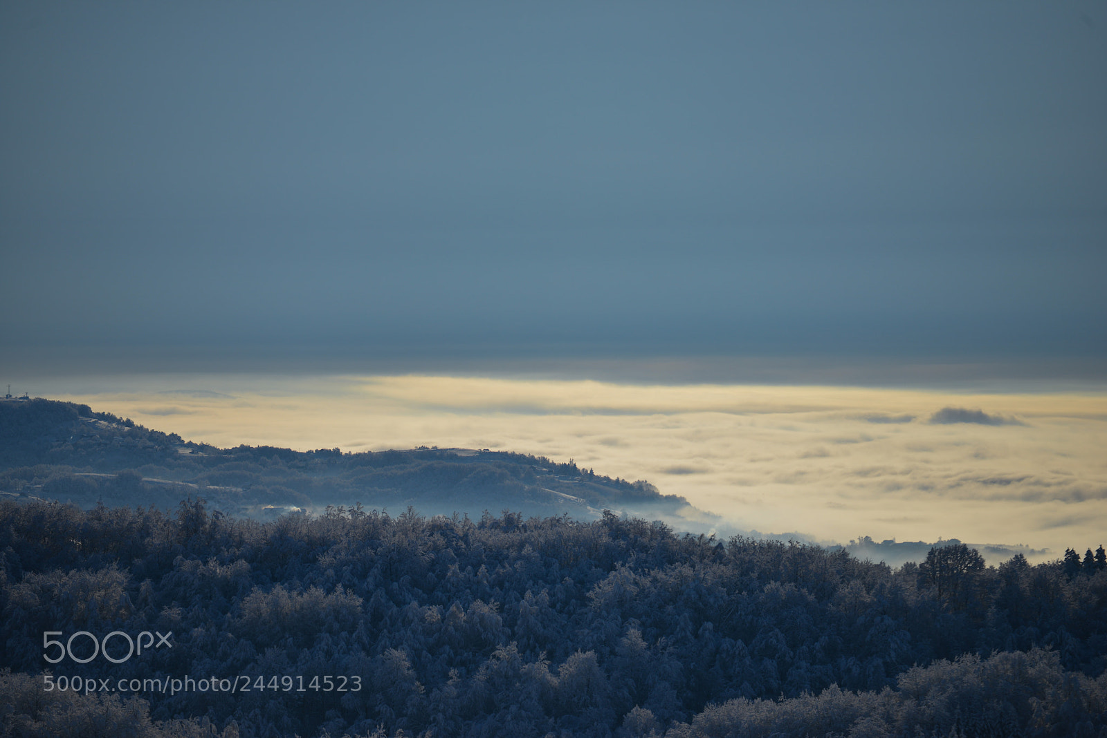 Nikon D800 sample photo. Island in the clouds photography
