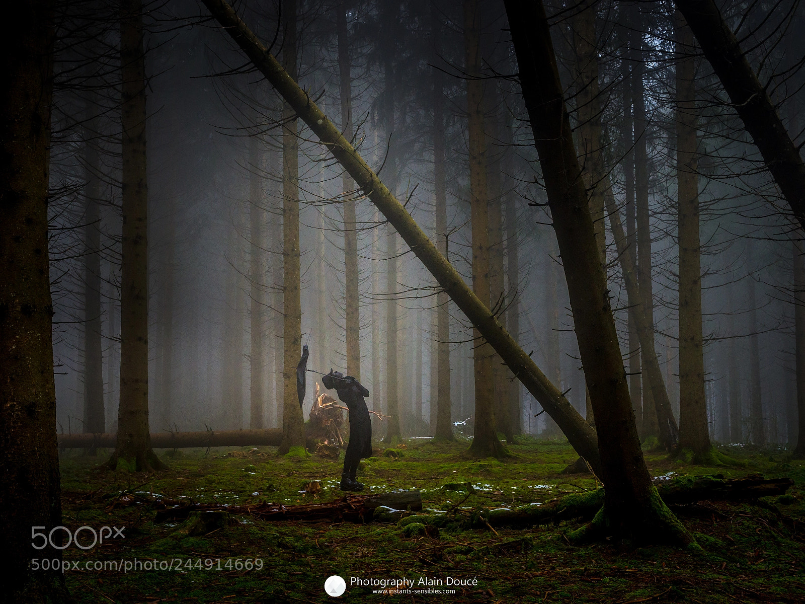 Nikon D610 sample photo. For t magique photo photography