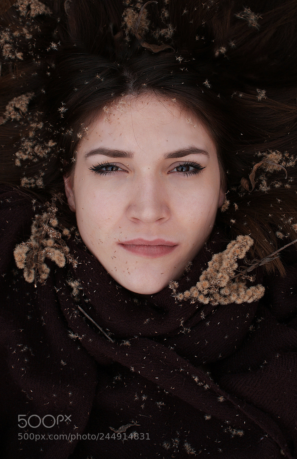Sony Alpha DSLR-A300 sample photo. Dea photography