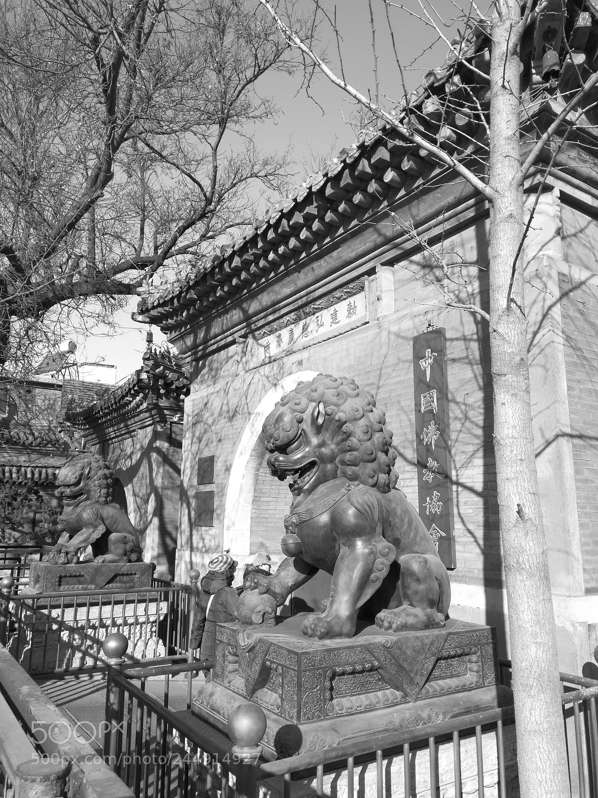 HUAWEI P10 sample photo. Guang ji temple photography