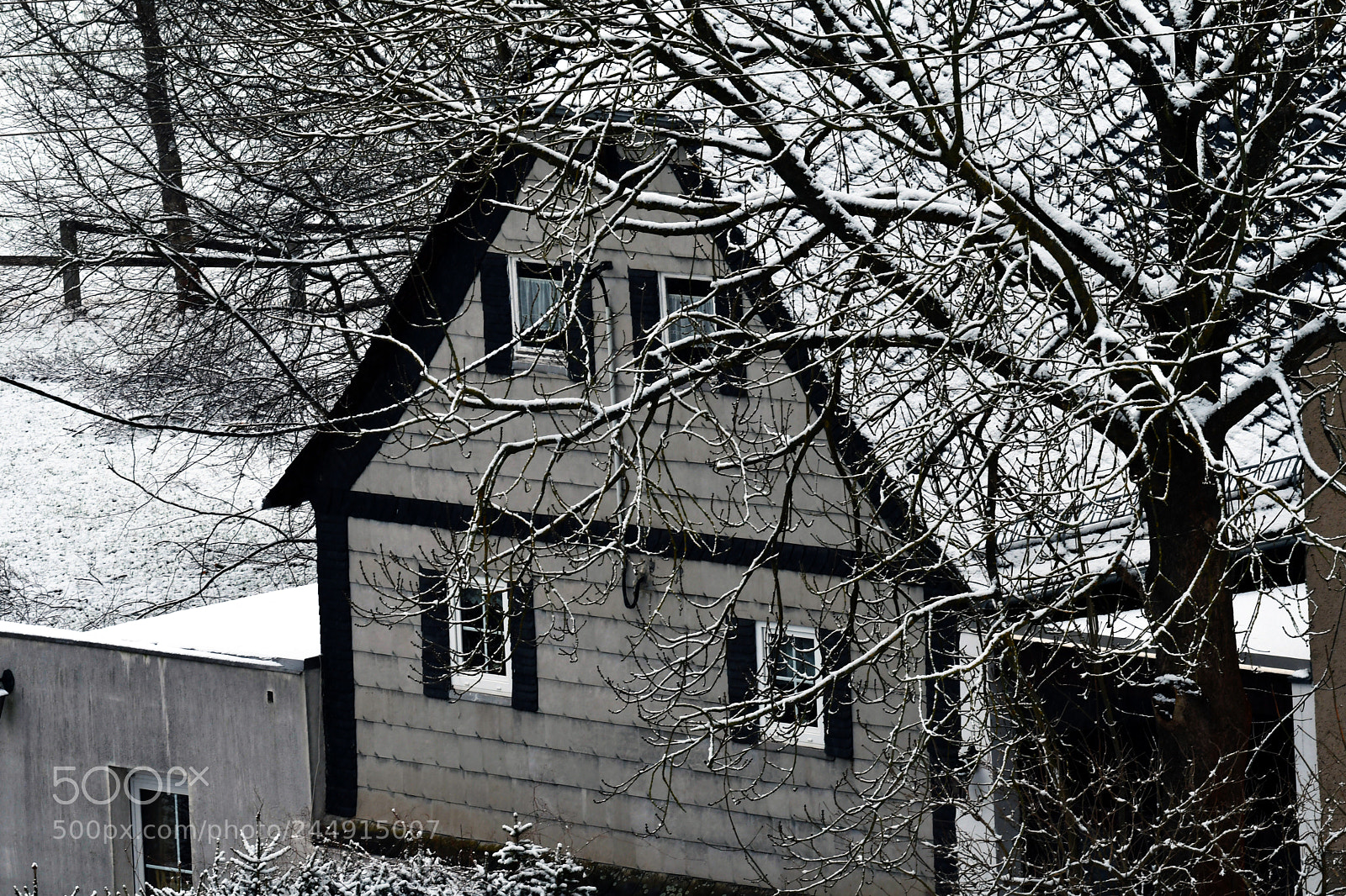 Nikon D500 sample photo. First snow photography