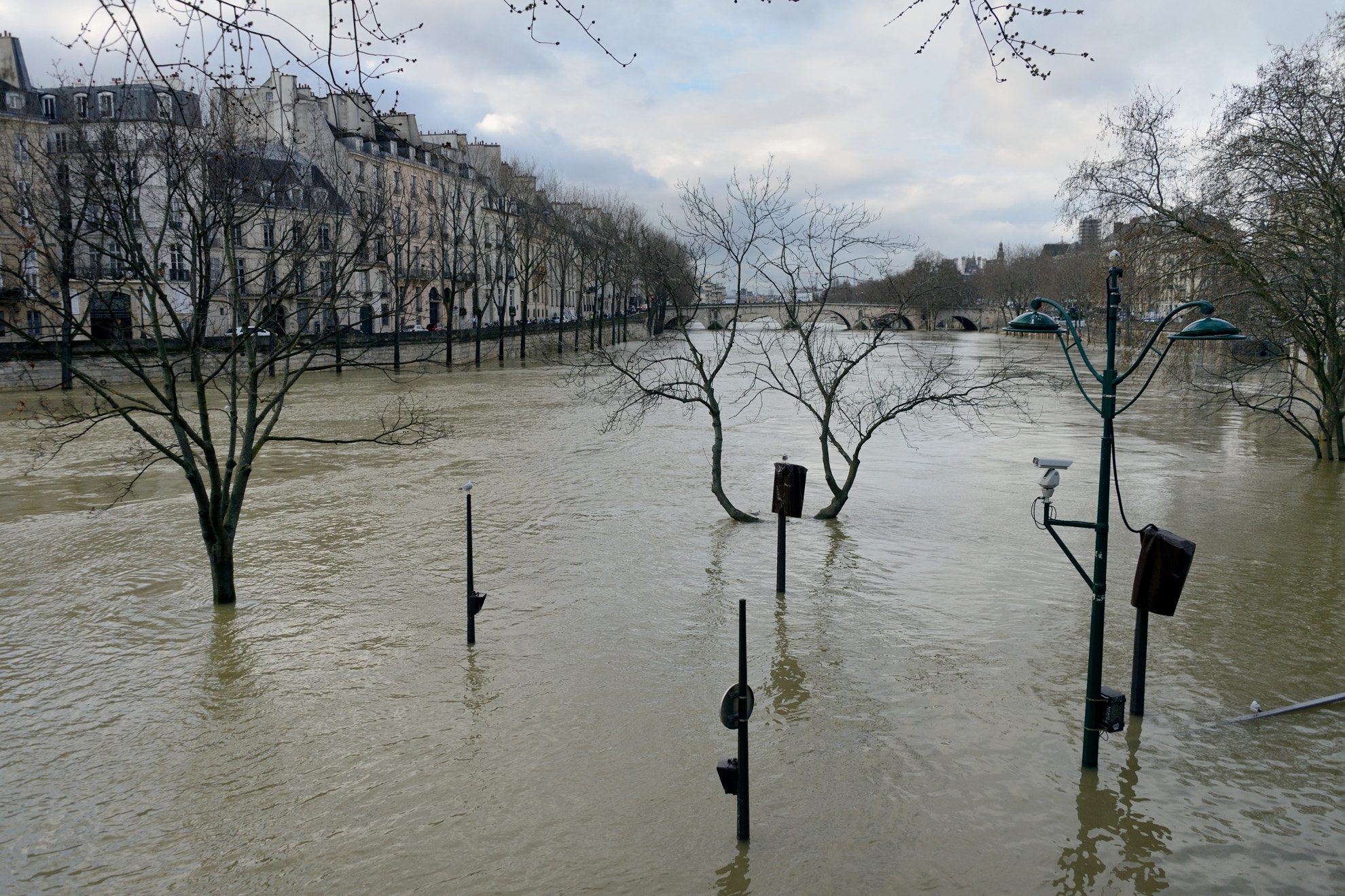 Nikon D800 + Nikon AF-S Nikkor 28-300mm F3.5-5.6G ED VR sample photo. Paris - crue de la seine #01 photography