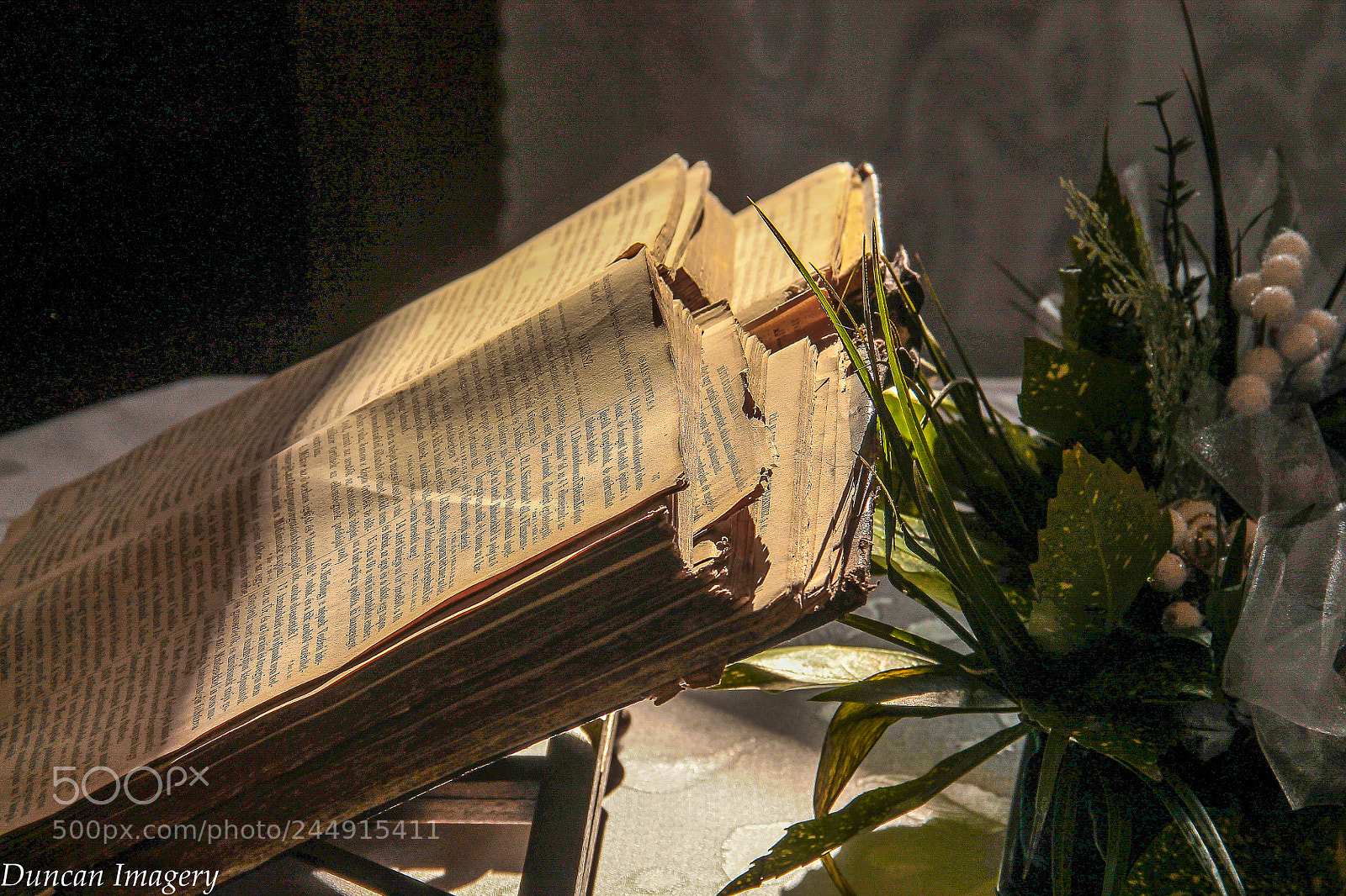Canon EOS 1100D (EOS Rebel T3 / EOS Kiss X50) sample photo. An old book photography