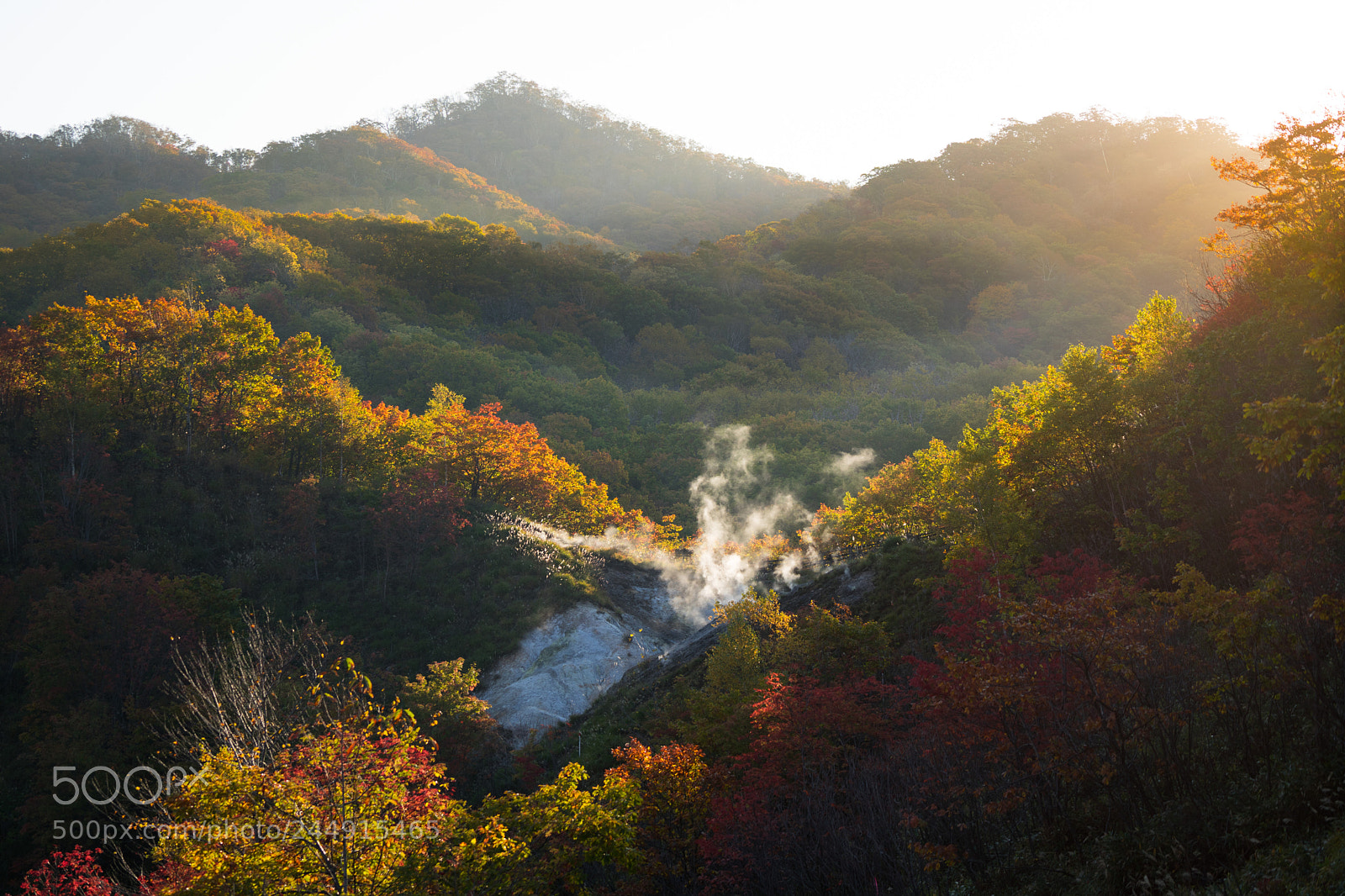 Sony a7 II sample photo. 秋天的悸动 photography