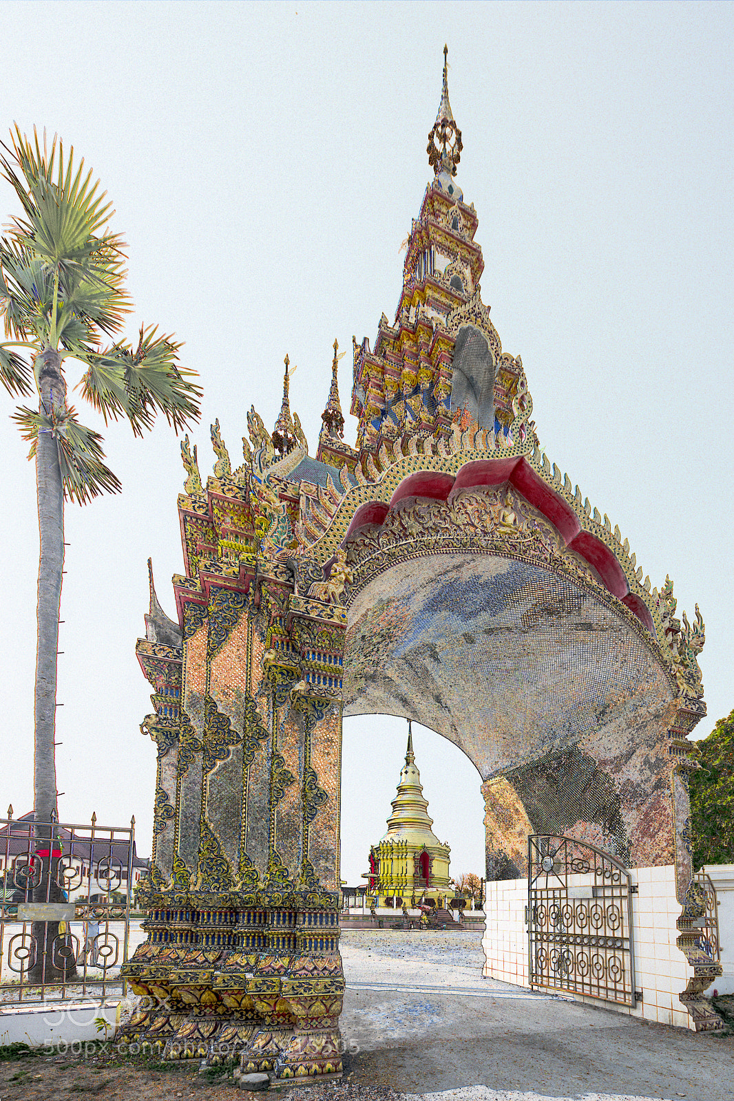 Nikon D850 sample photo. Wat pa pao photography