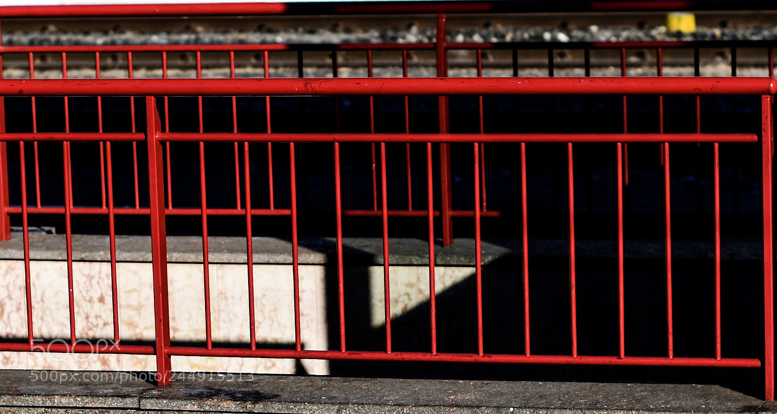 Nikon D850 sample photo. Red photography