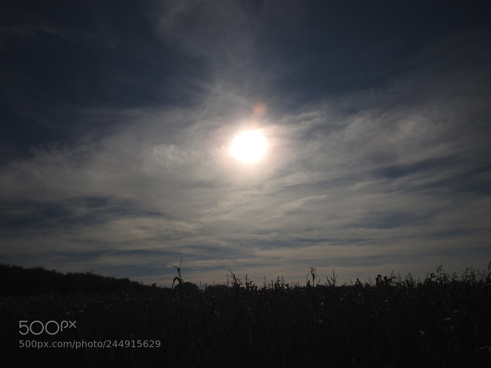 Nikon Coolpix P900 sample photo. Cloudy sky photography