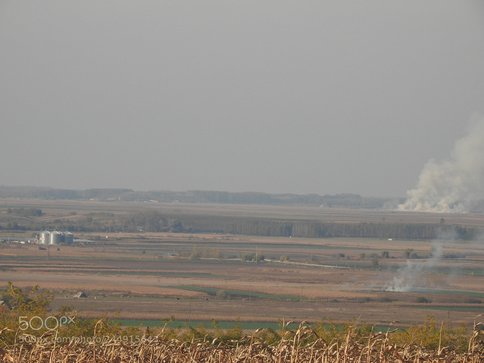 Nikon Coolpix P900 sample photo. Crop smoke photography