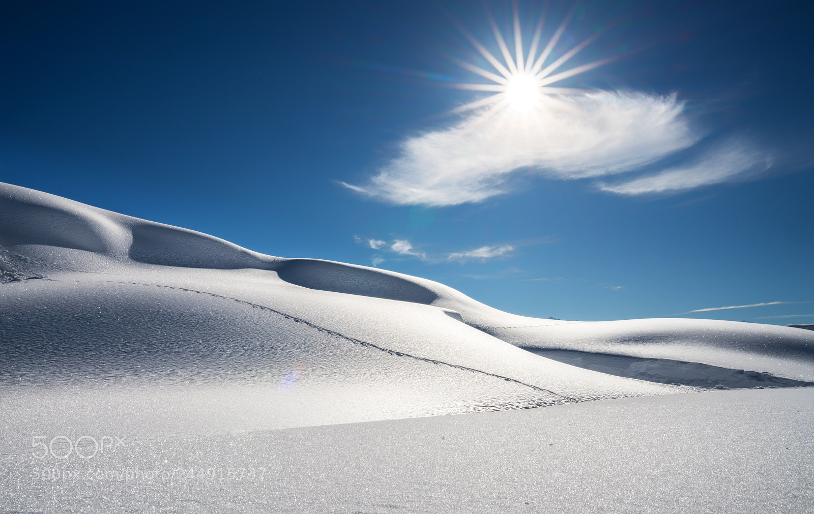 Sony a7R II sample photo. Bettmeralp photography