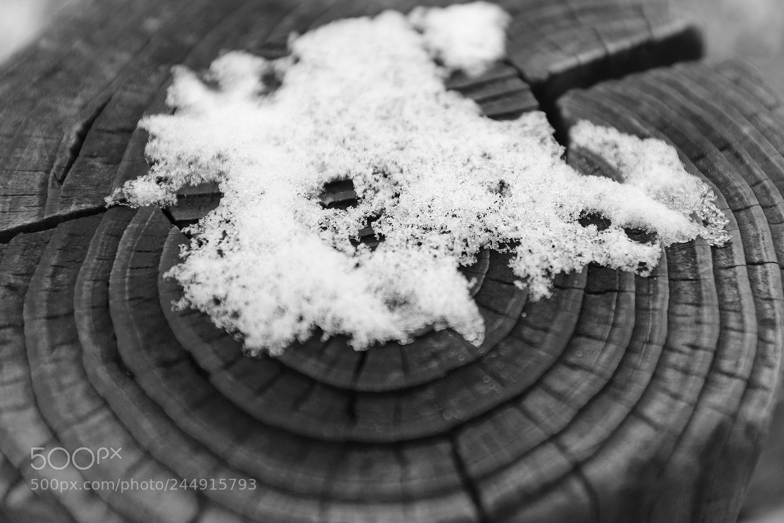 Canon EOS 6D Mark II sample photo. The remaining snow photography