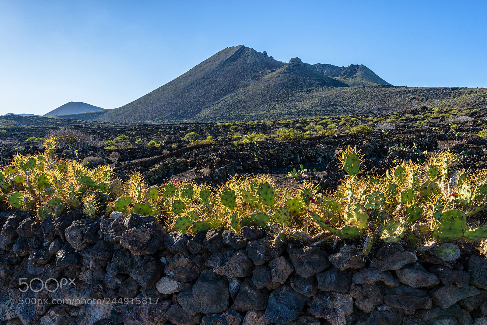 Nikon D800 sample photo. Lanzarote photography