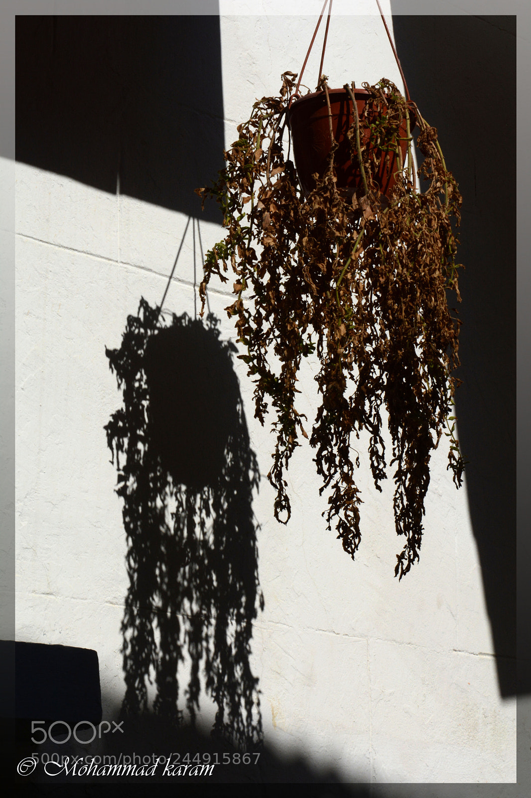 Nikon D7100 sample photo. Lights and shadows photography