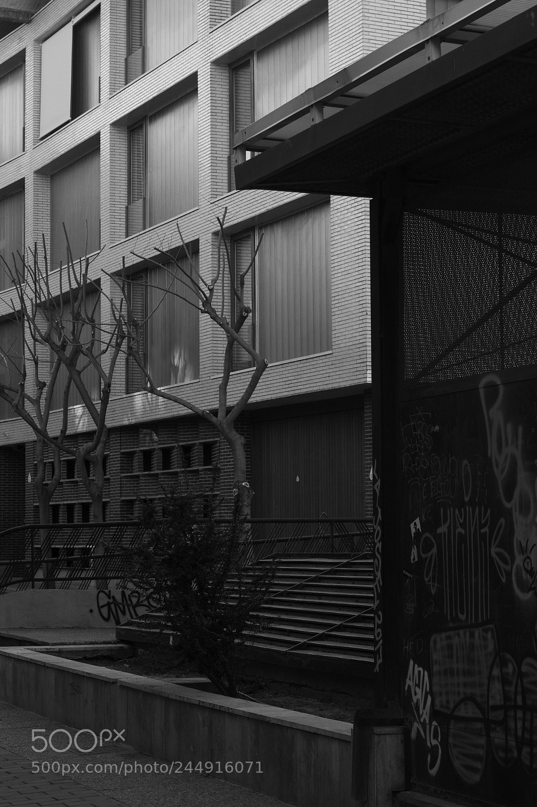 Canon EOS 1100D (EOS Rebel T3 / EOS Kiss X50) sample photo. Untitled photography