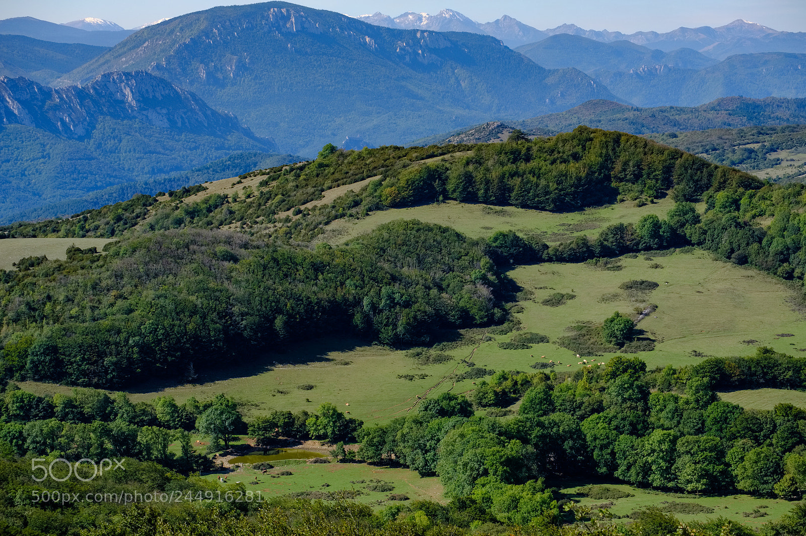 Fujifilm X-T2 sample photo. Hills with meadows and photography