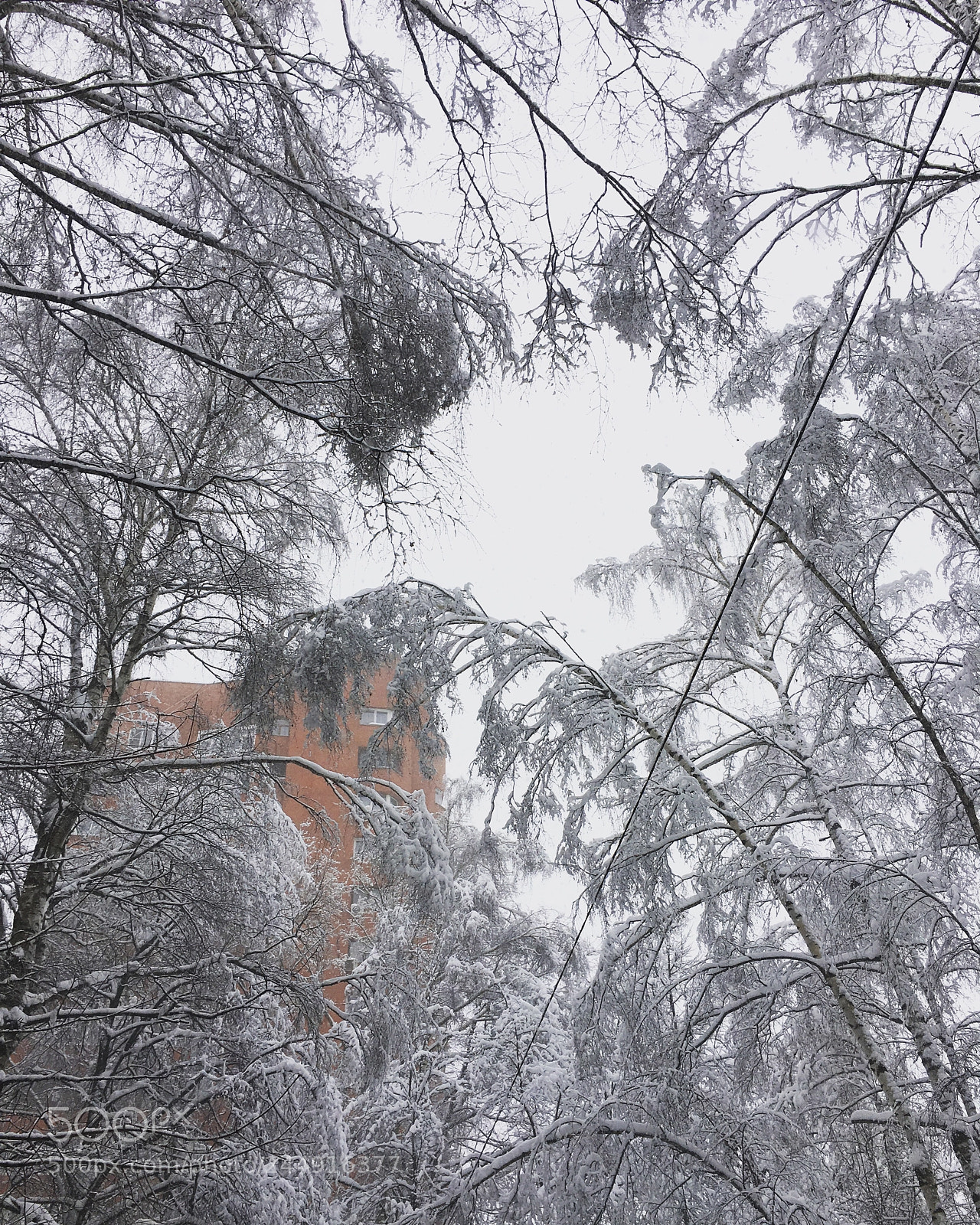 Apple iPhone 6s sample photo. Красота Руси Матушки ❄️❄️☃️❄️ photography
