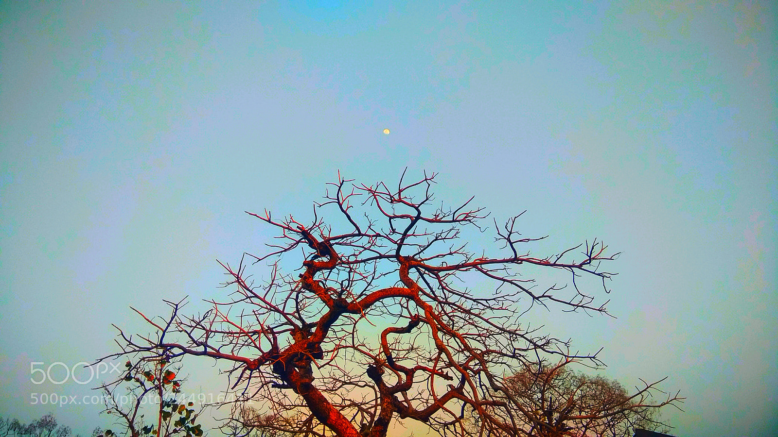 Xiaomi Redmi Note 4 sample photo. Full moon photography