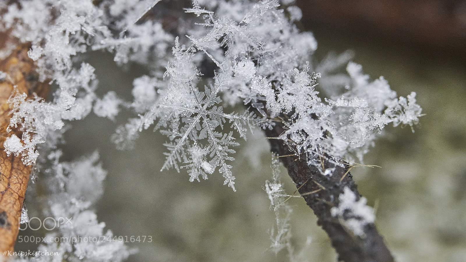 Sony a7R III sample photo. Snowflakes photography