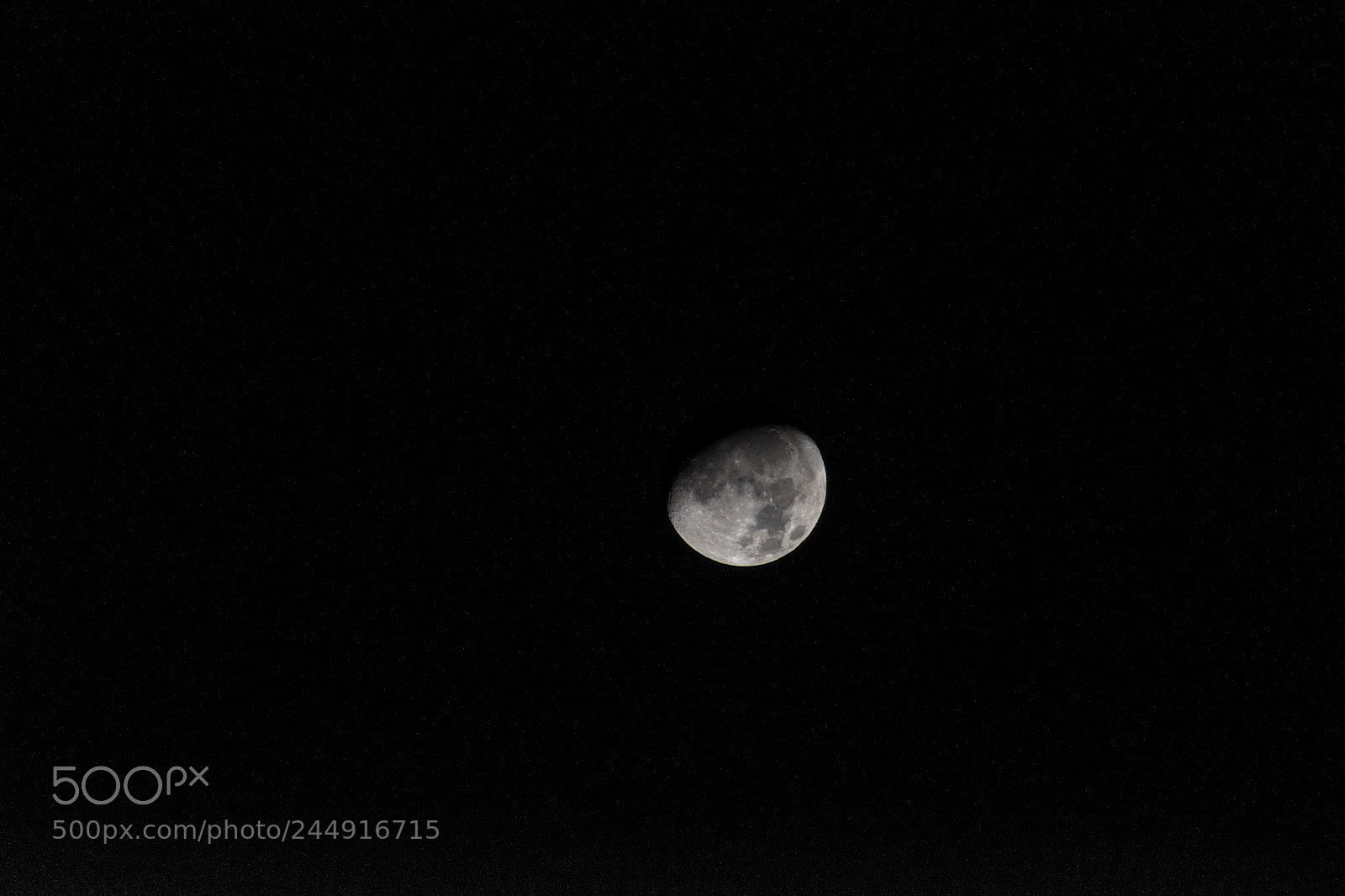 Nikon D5600 sample photo. Moon photography