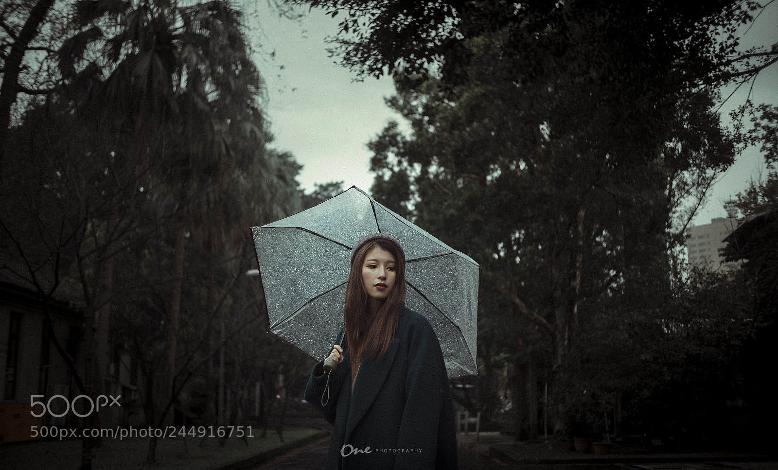 Fujifilm X-T10 sample photo. Winter rainday photography