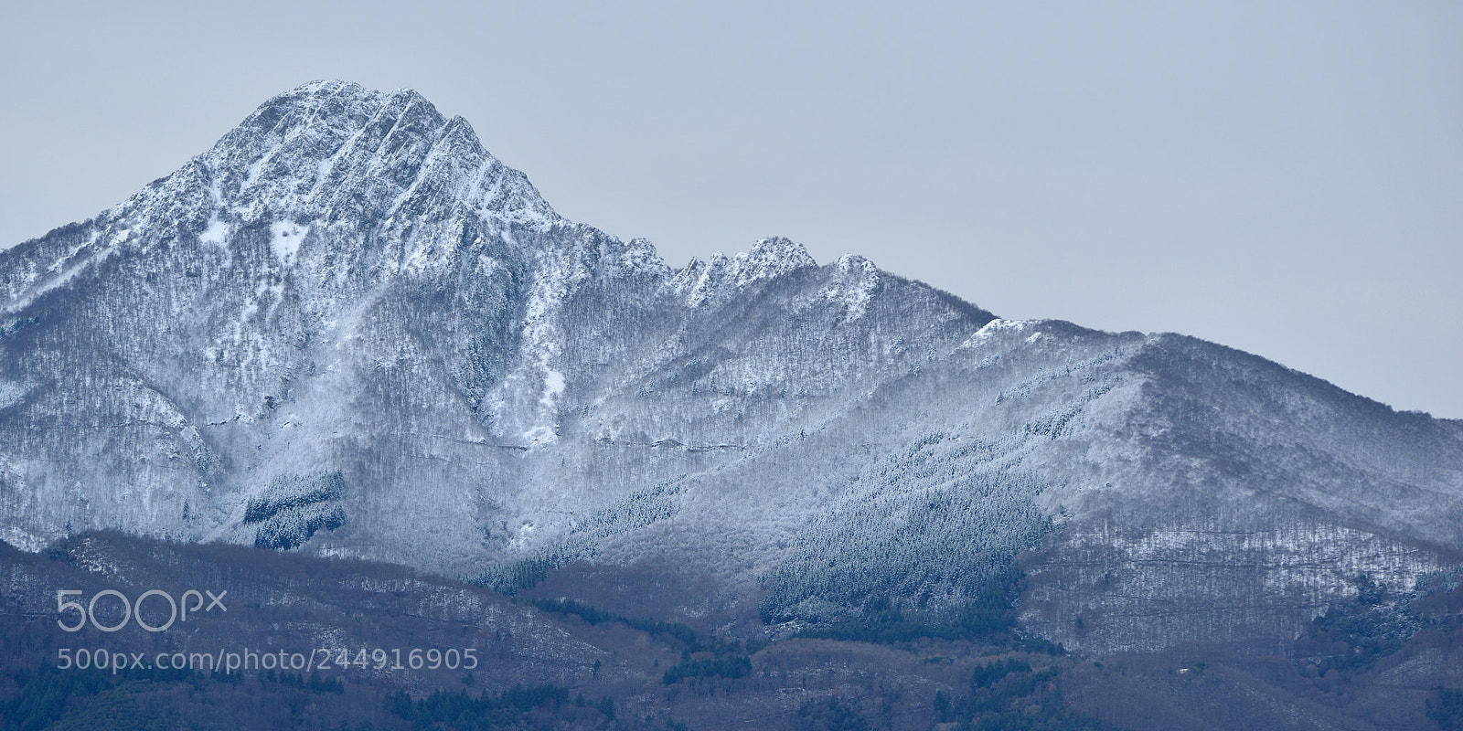 Nikon D810 sample photo. Montseny photography