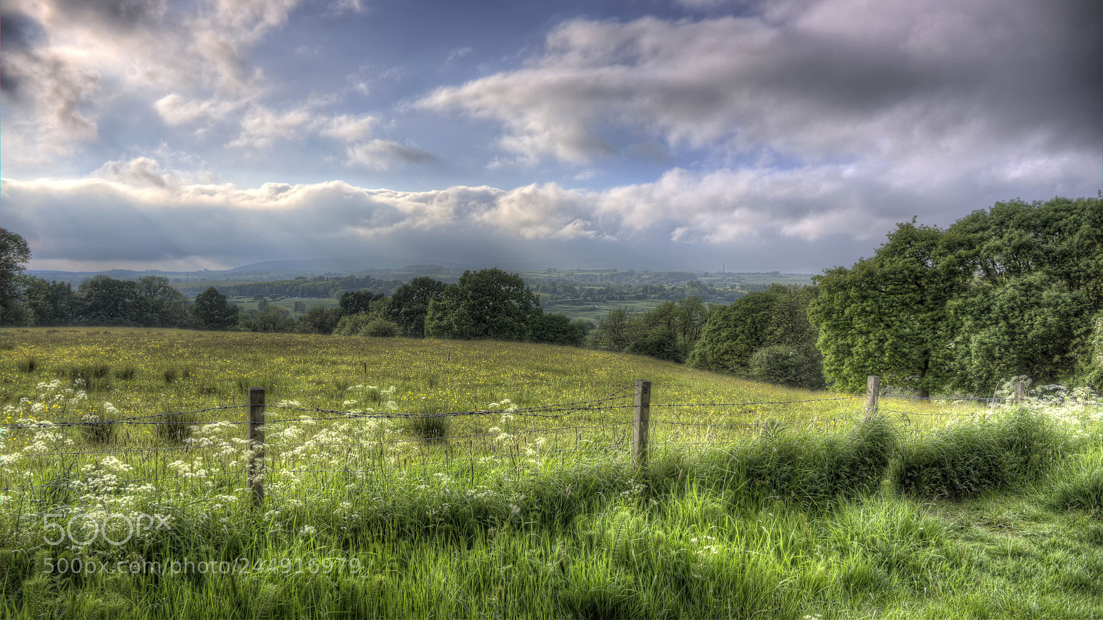 Sony Alpha NEX-7 sample photo. Tonemapped photography
