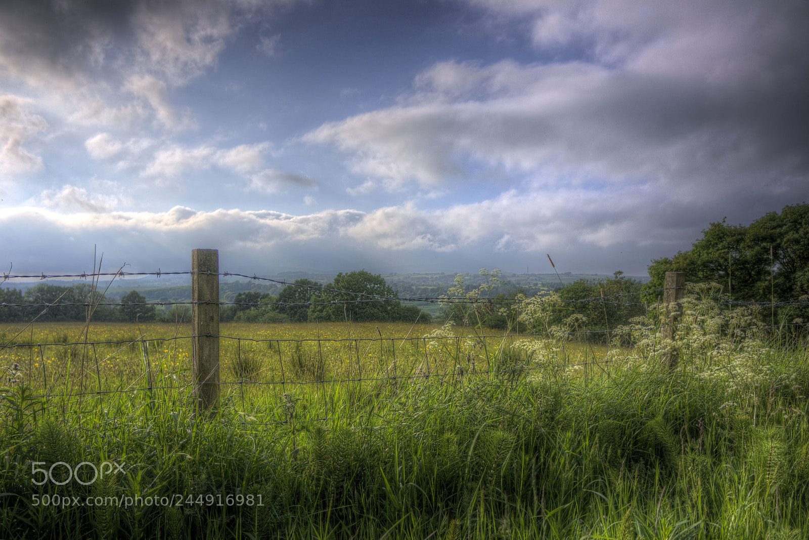 Sony Alpha NEX-7 sample photo. Tonemapped photography