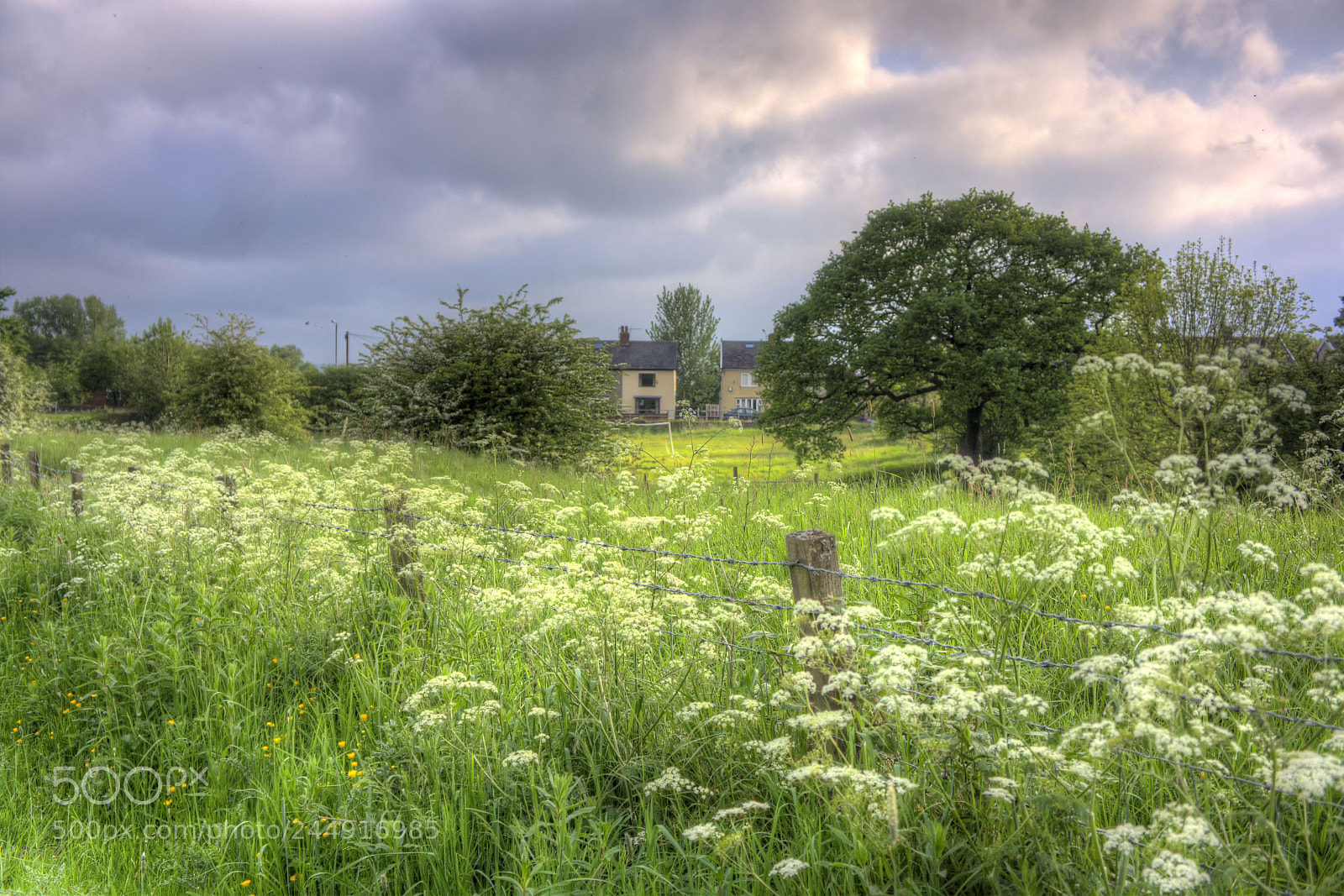 Sony Alpha NEX-7 sample photo. Tonemapped photography