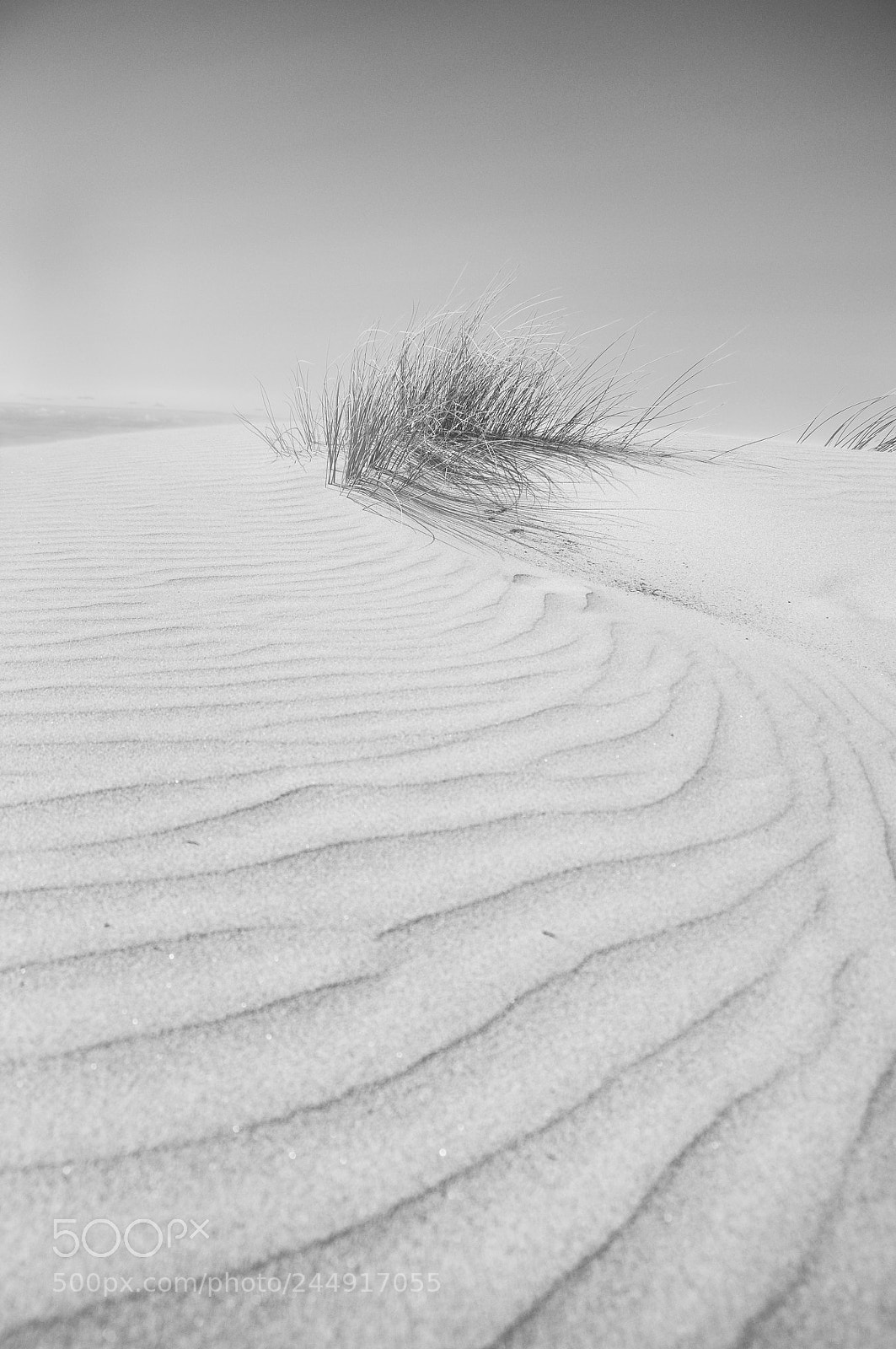 Nikon D90 sample photo. Dune photography